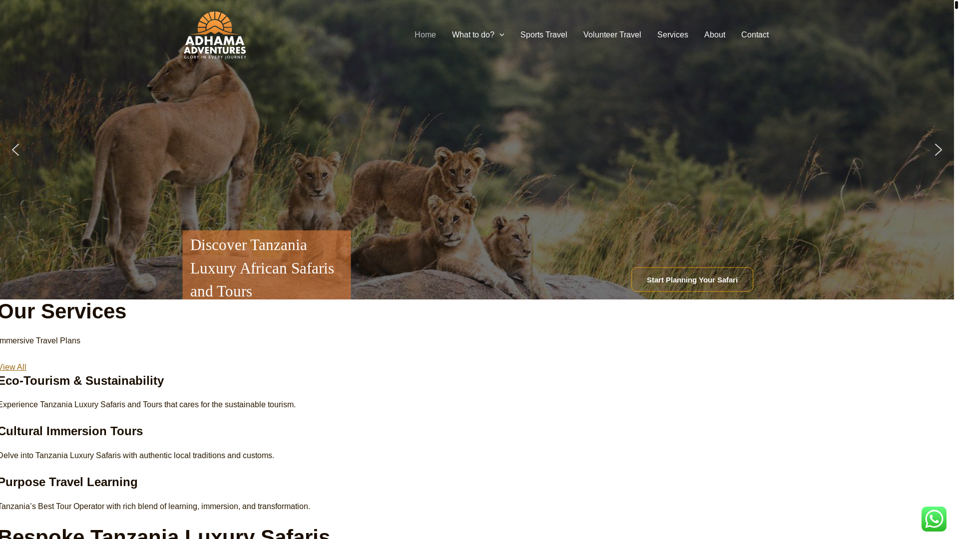 website screenshot of https://adhamaadventures.co.tz/