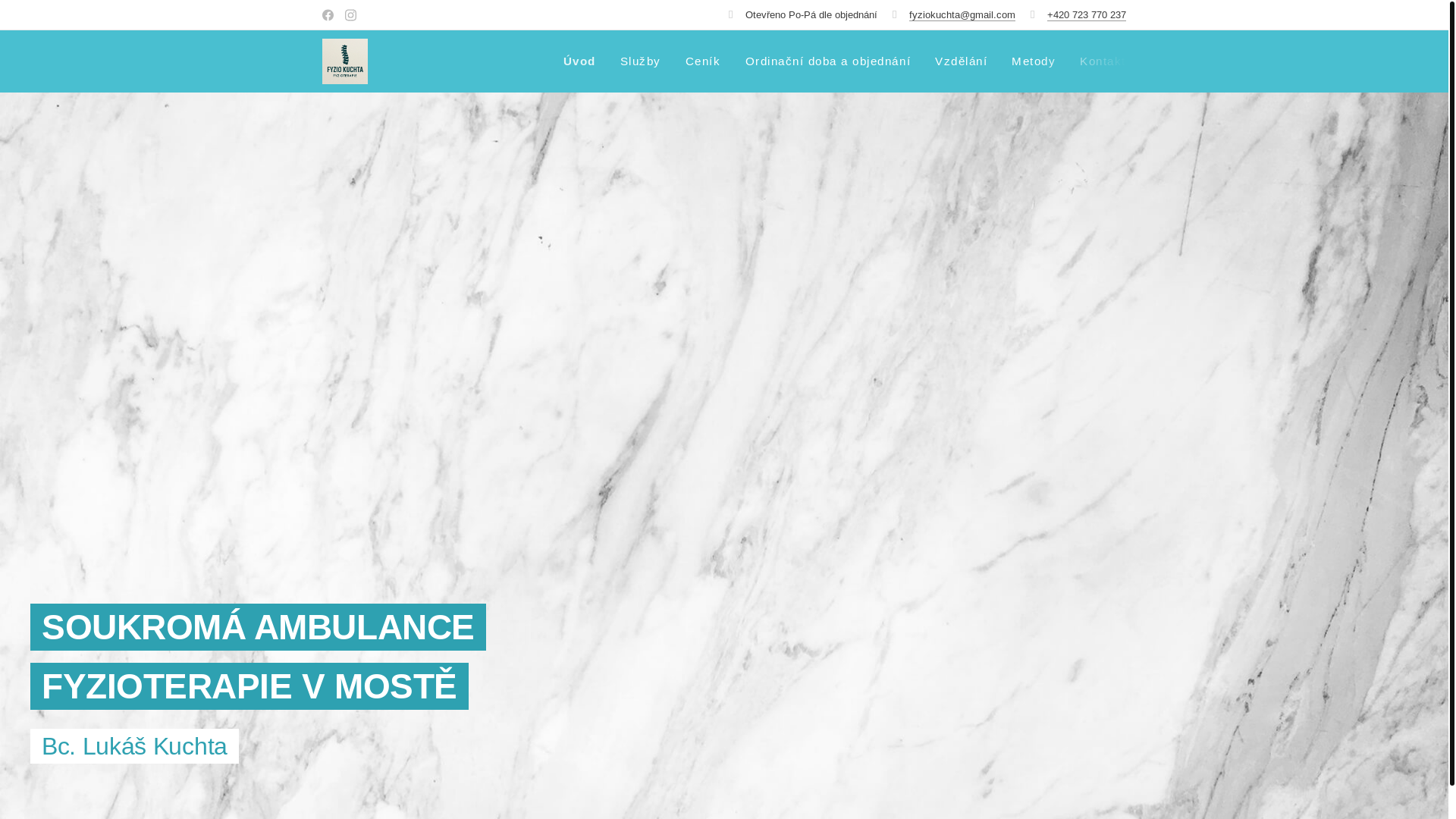 website screenshot of https://fyziokuchta.cz/