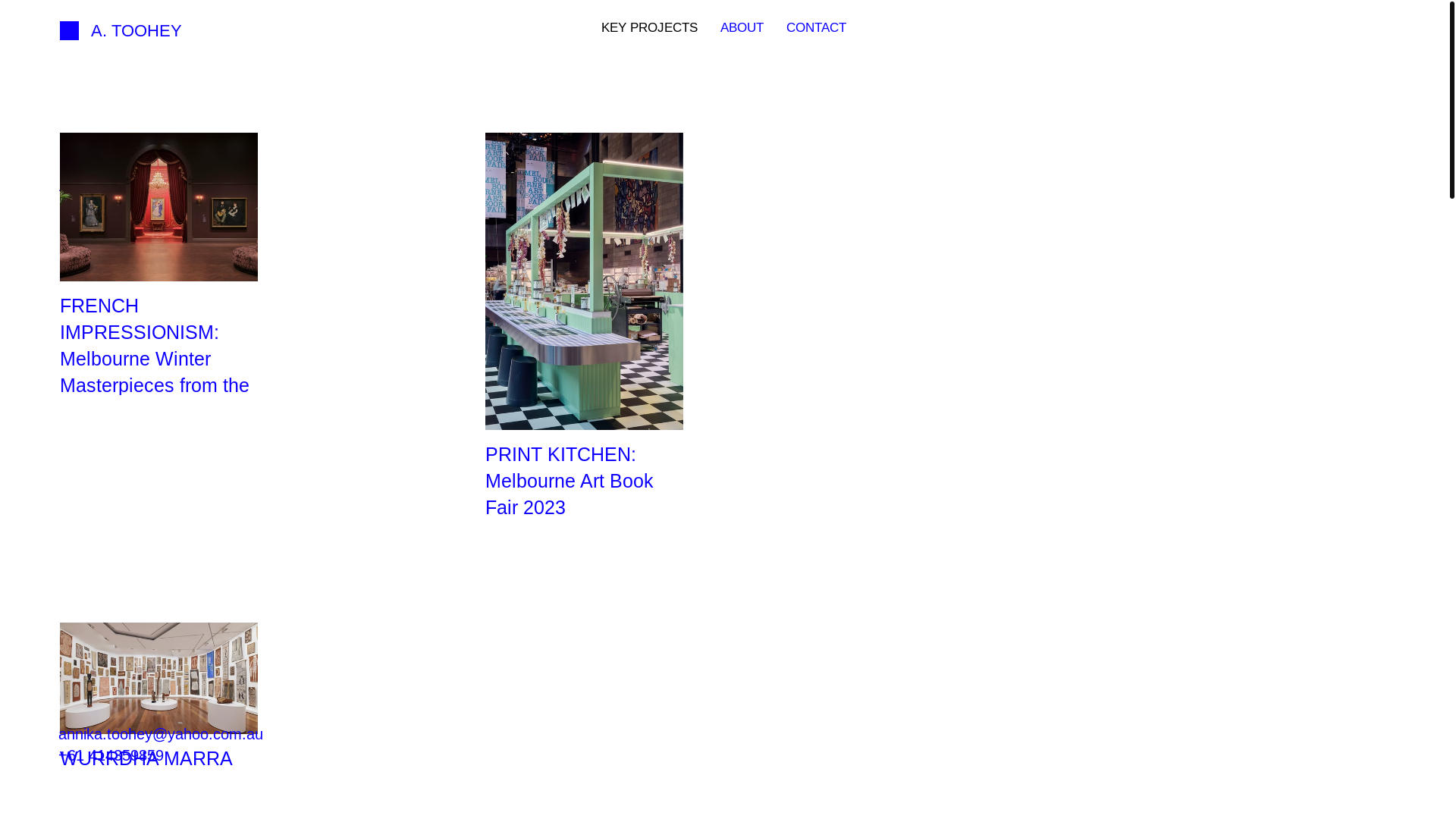 website screenshot of https://annikatoohey.com/