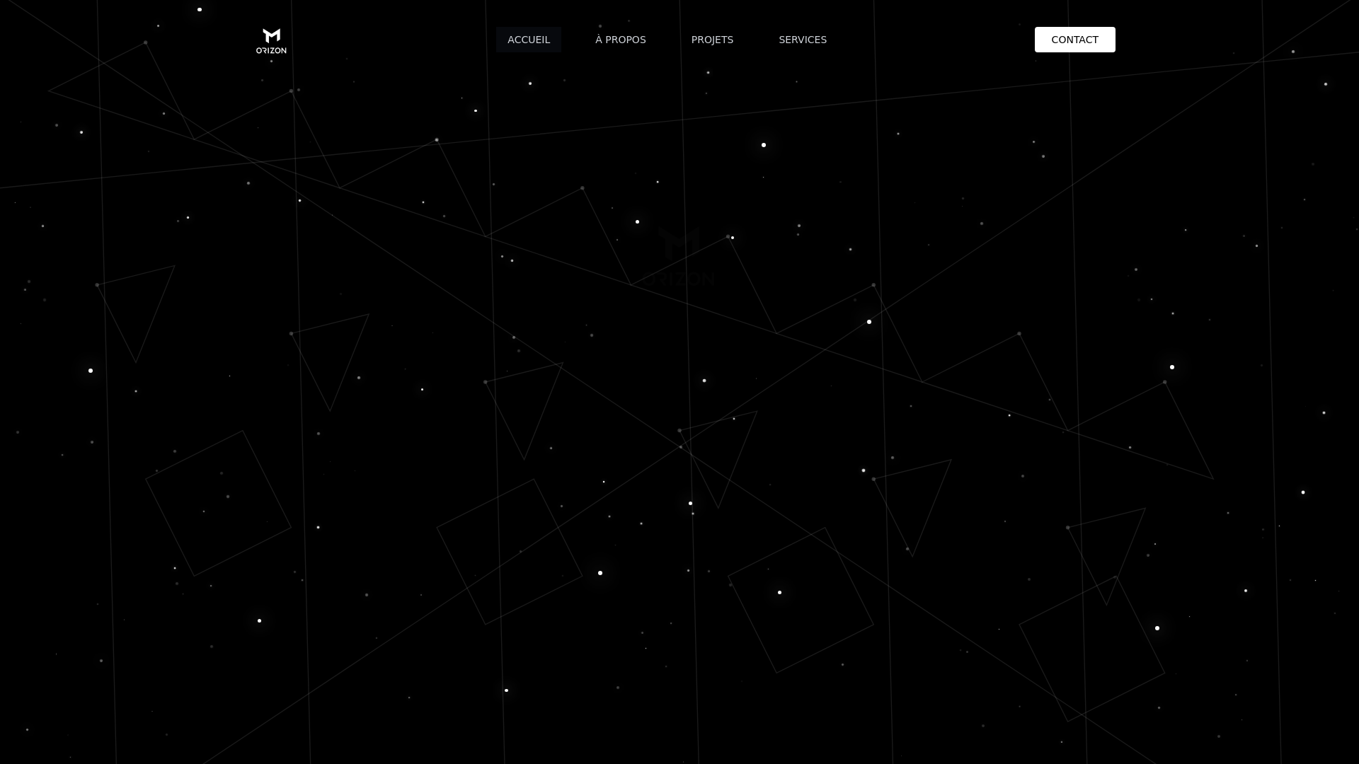 website screenshot of https://tm-orizon.com/
