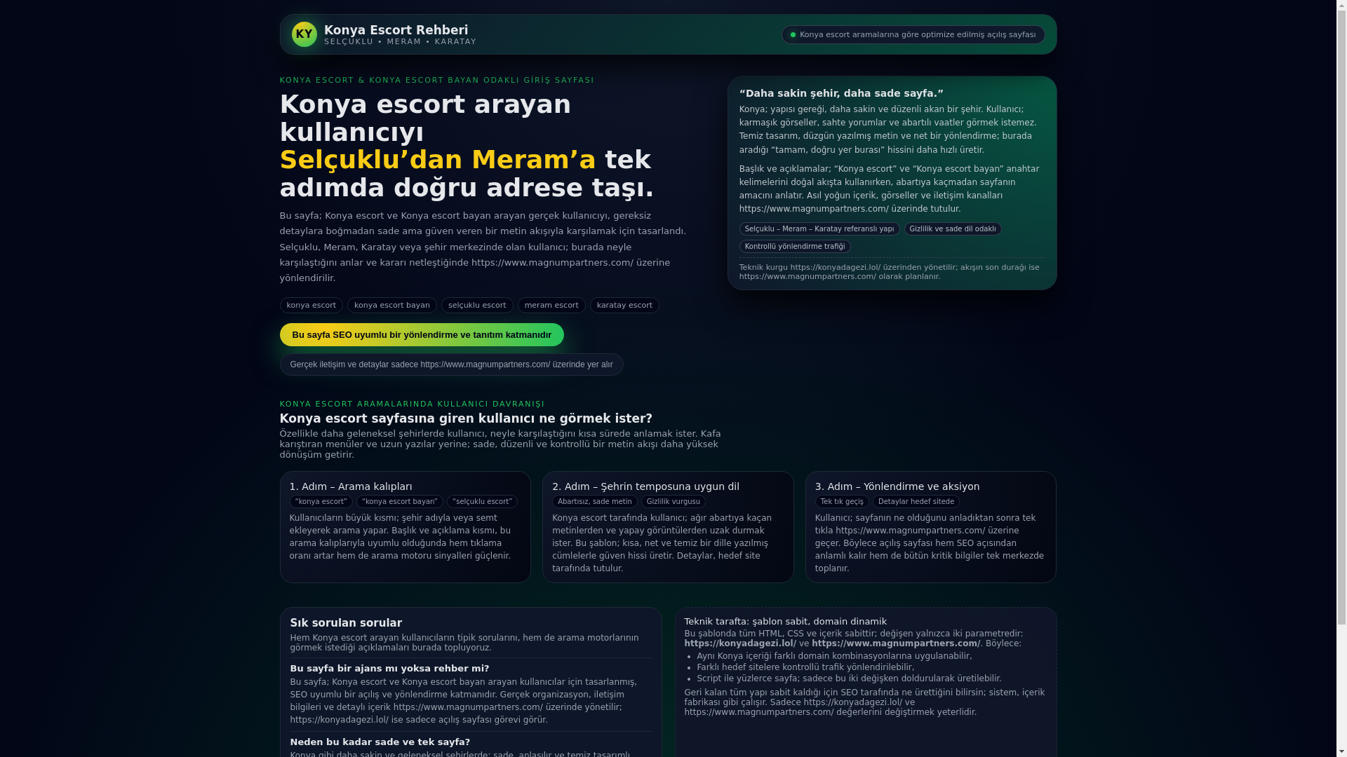 website screenshot of https://konyadagezi.lol/