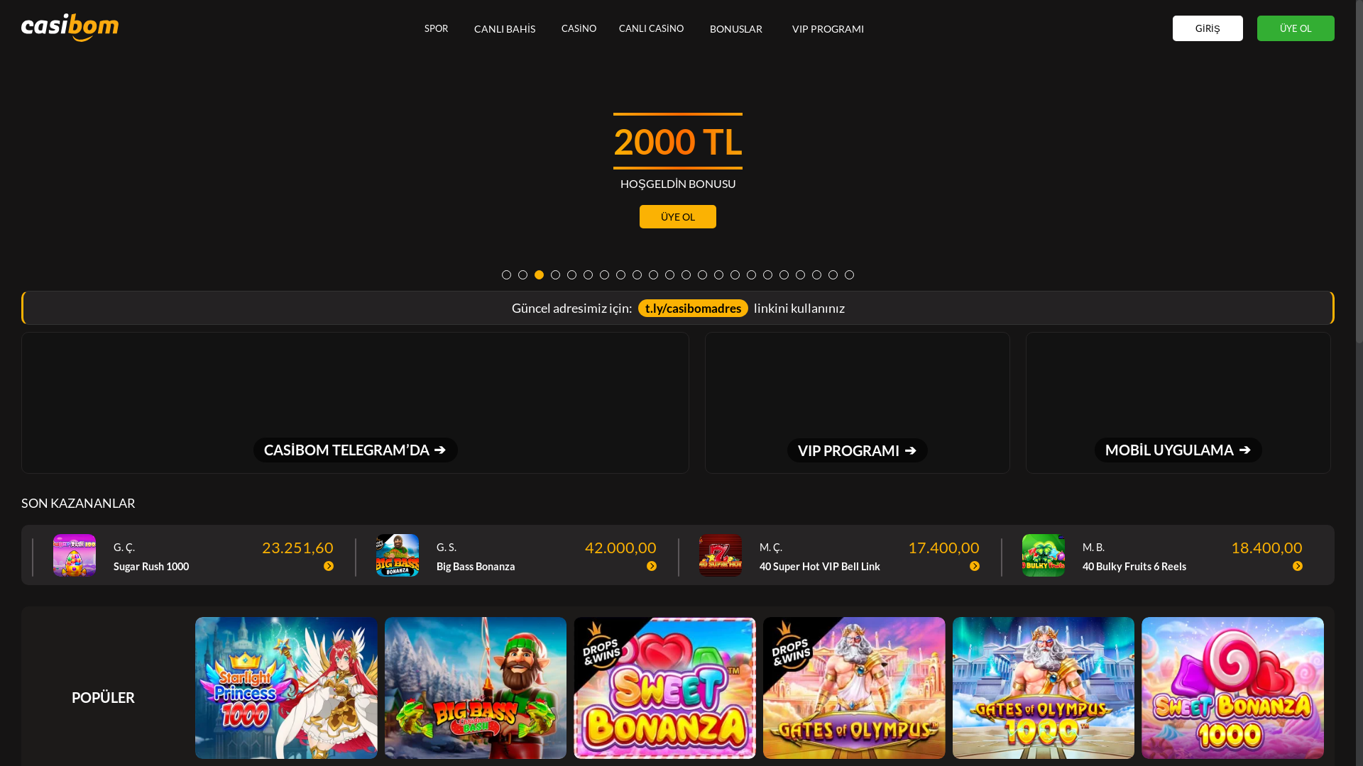 website screenshot of https://cadibom805.com/
