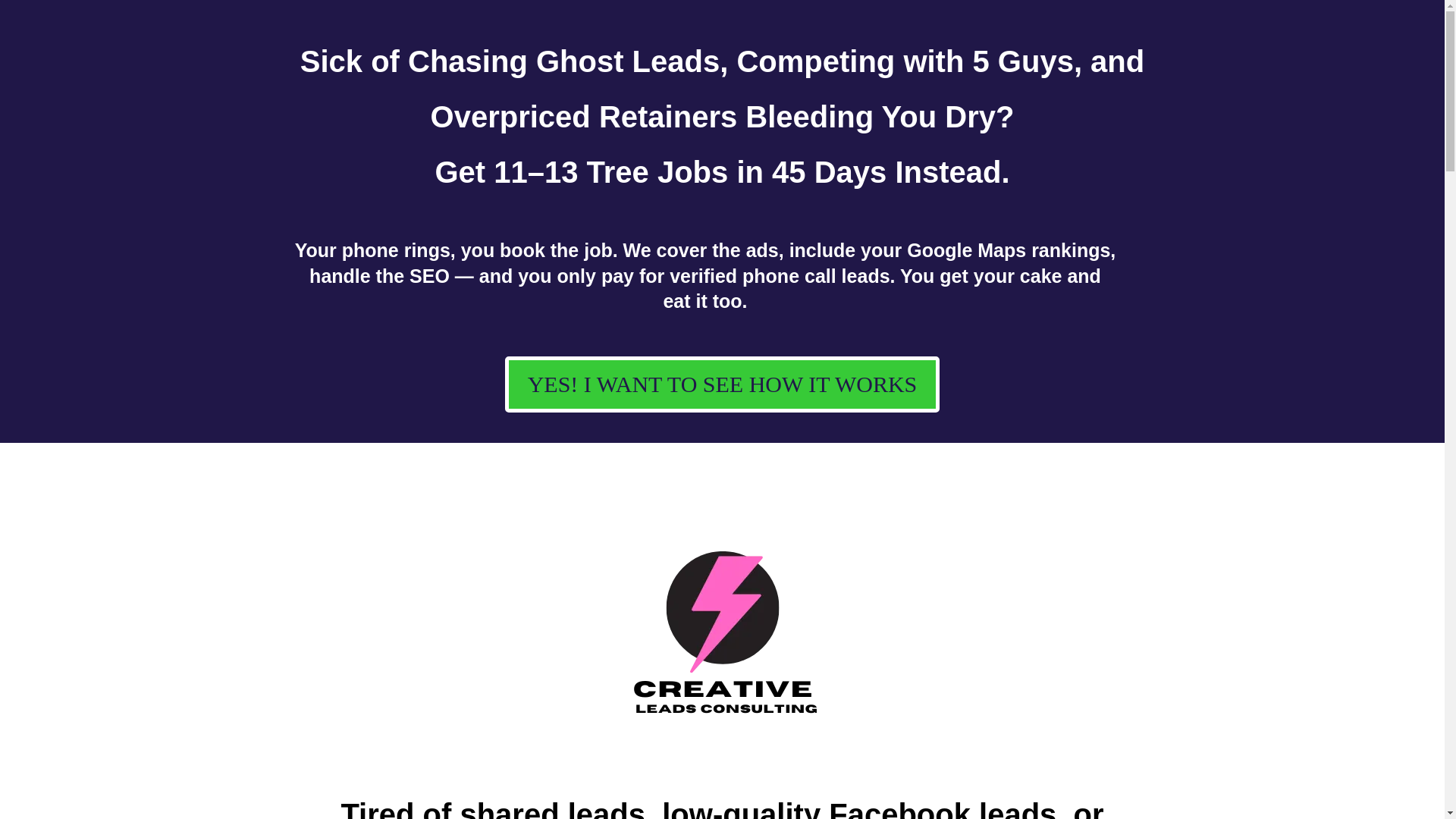 website screenshot of https://creativeleadsconsulting-tree.com/