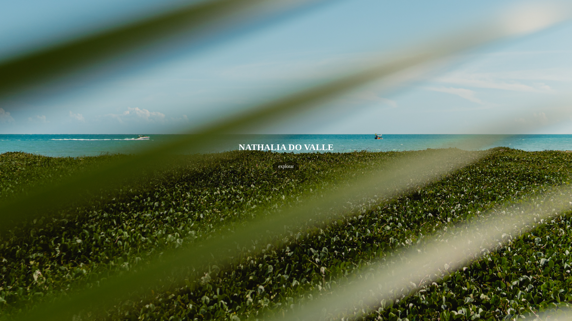 website screenshot of https://ndovalle.com/