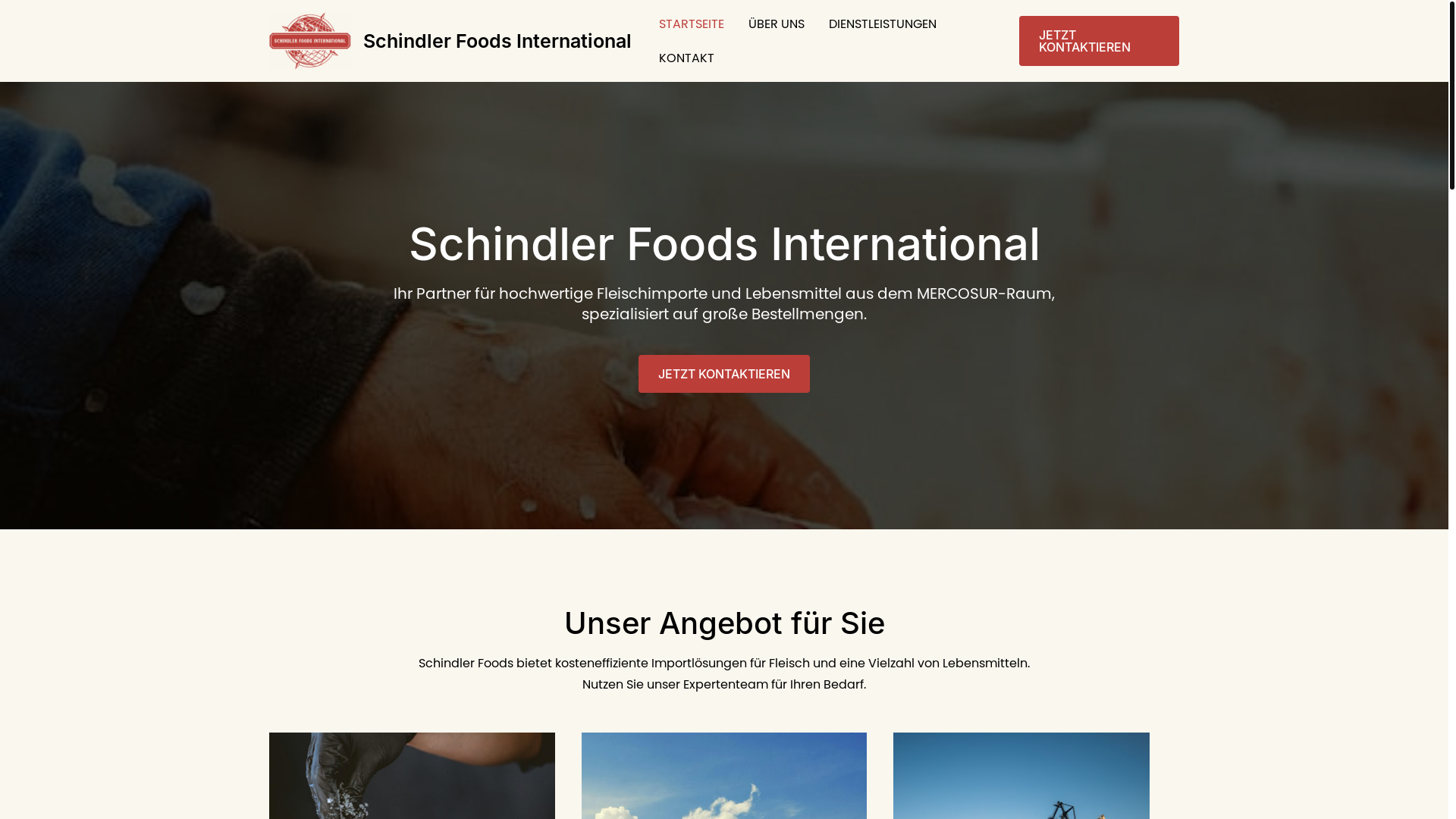 website screenshot of https://schindlergruppe.ch/