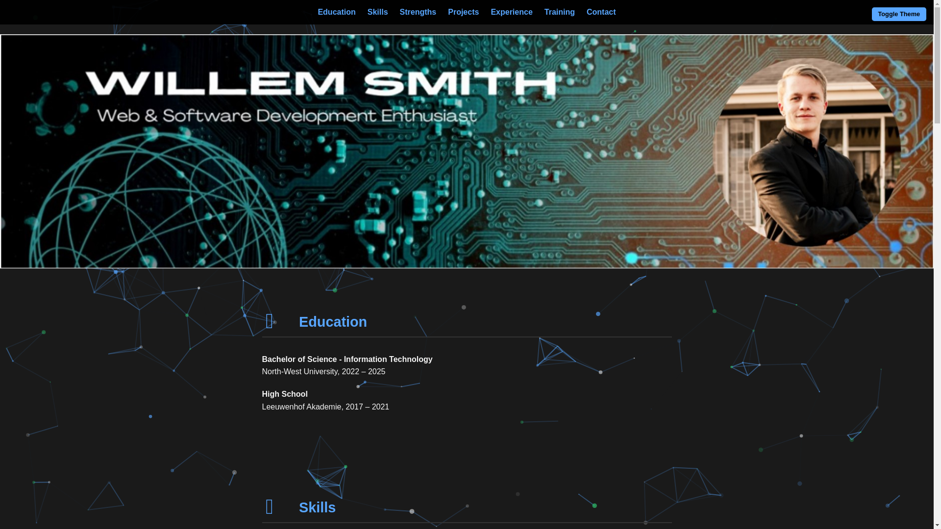 website screenshot of https://willemsmith.co.za/