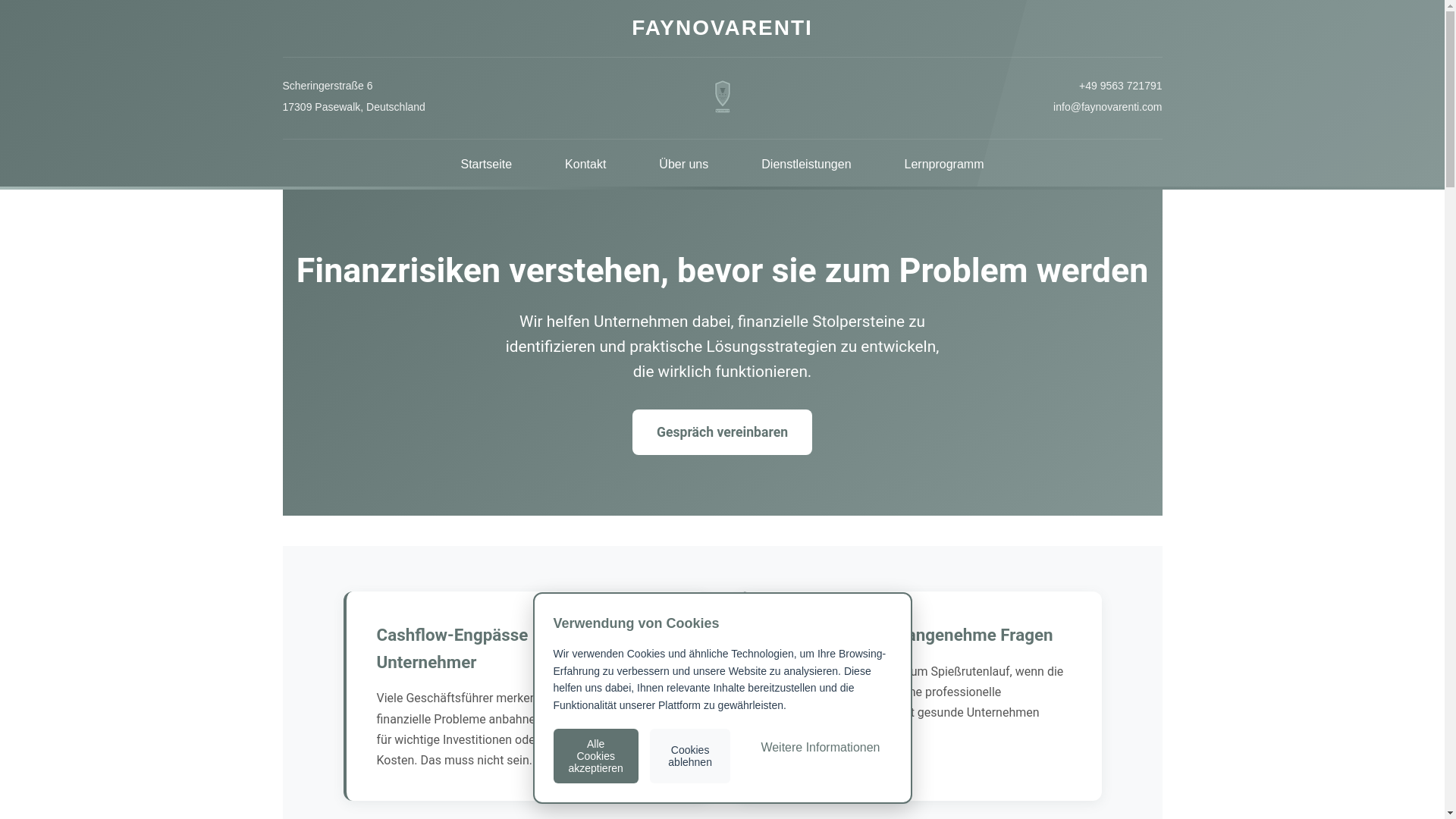 website screenshot of https://faynovarenti.com/