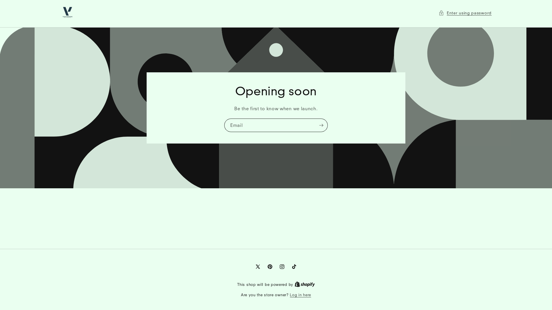 website screenshot of https://vapeamine.nl/