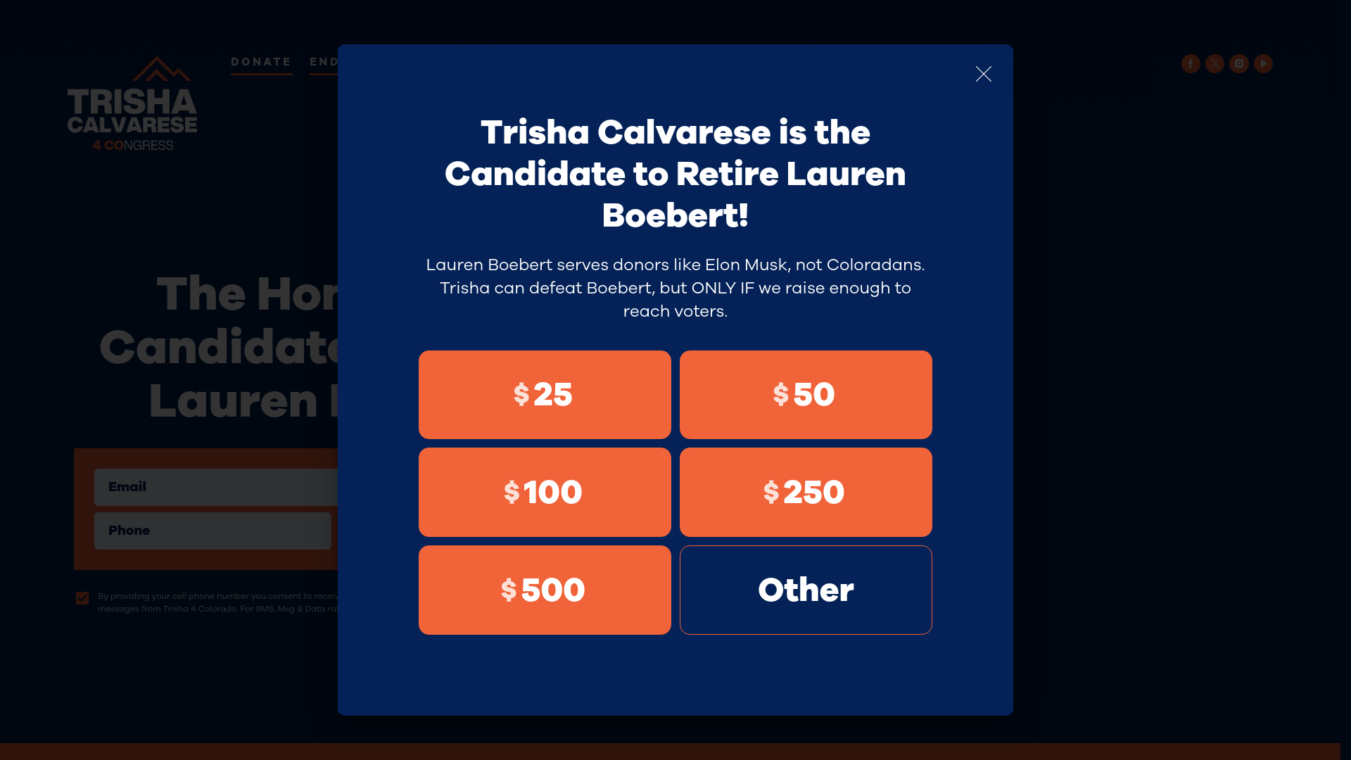 website screenshot of https://trisha-calvarese.com/