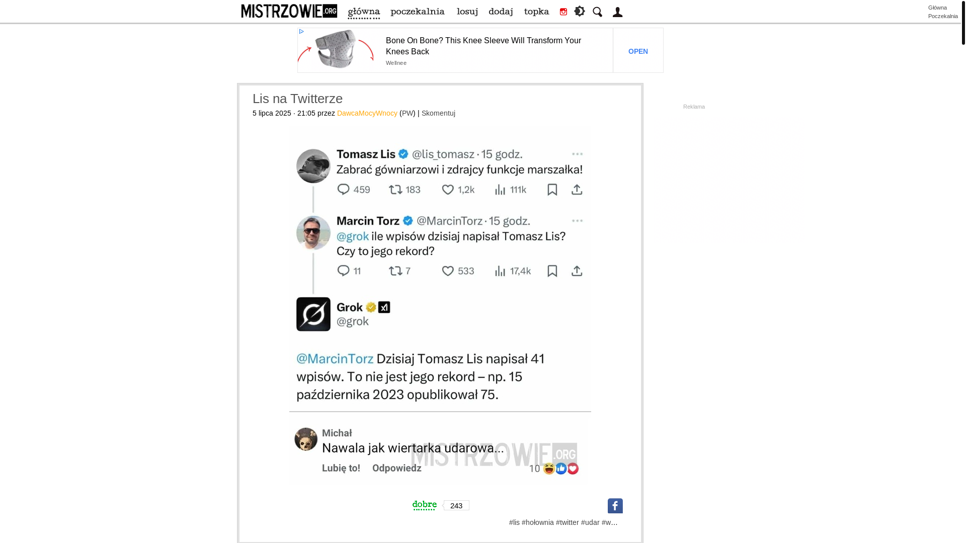 website screenshot of https://mistrzowie.org/