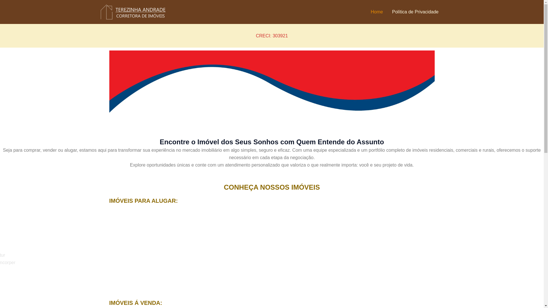 website screenshot of https://terezinhaandrade.com.br/