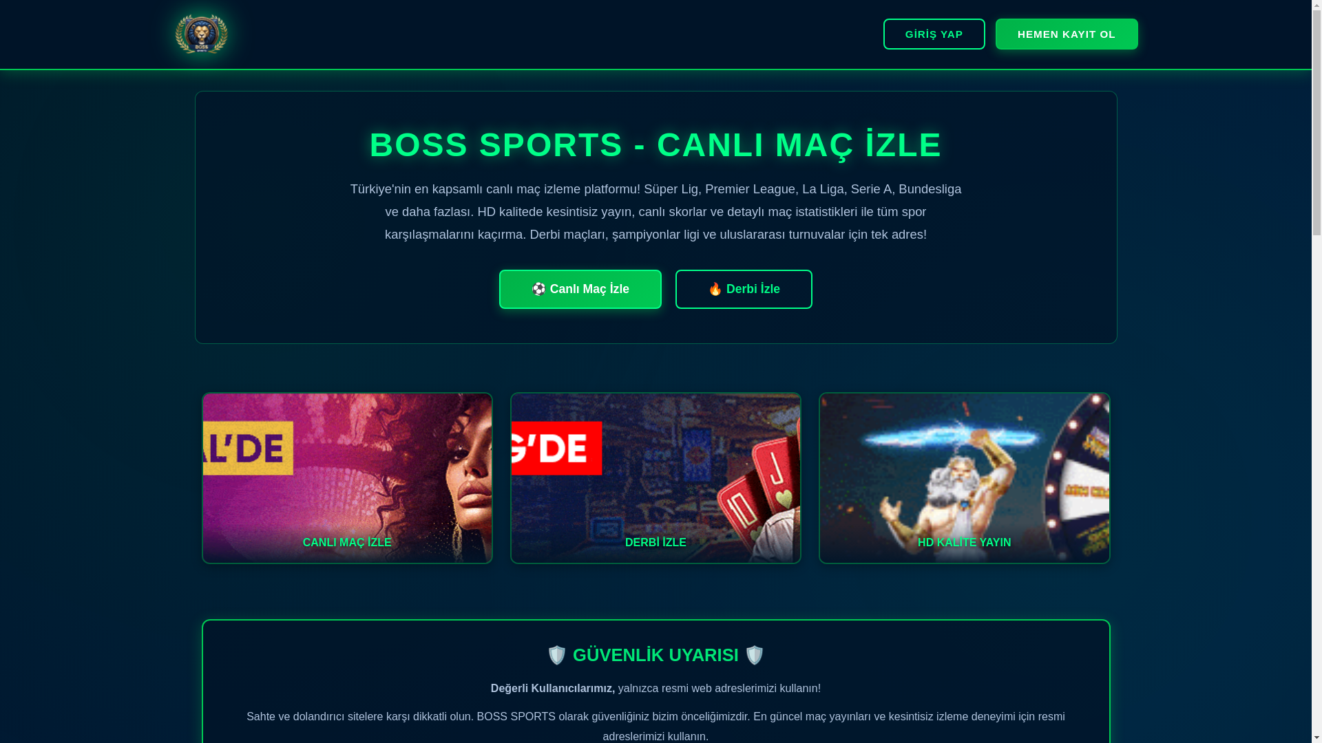 website screenshot of https://justintvfullhdyayinn.com/