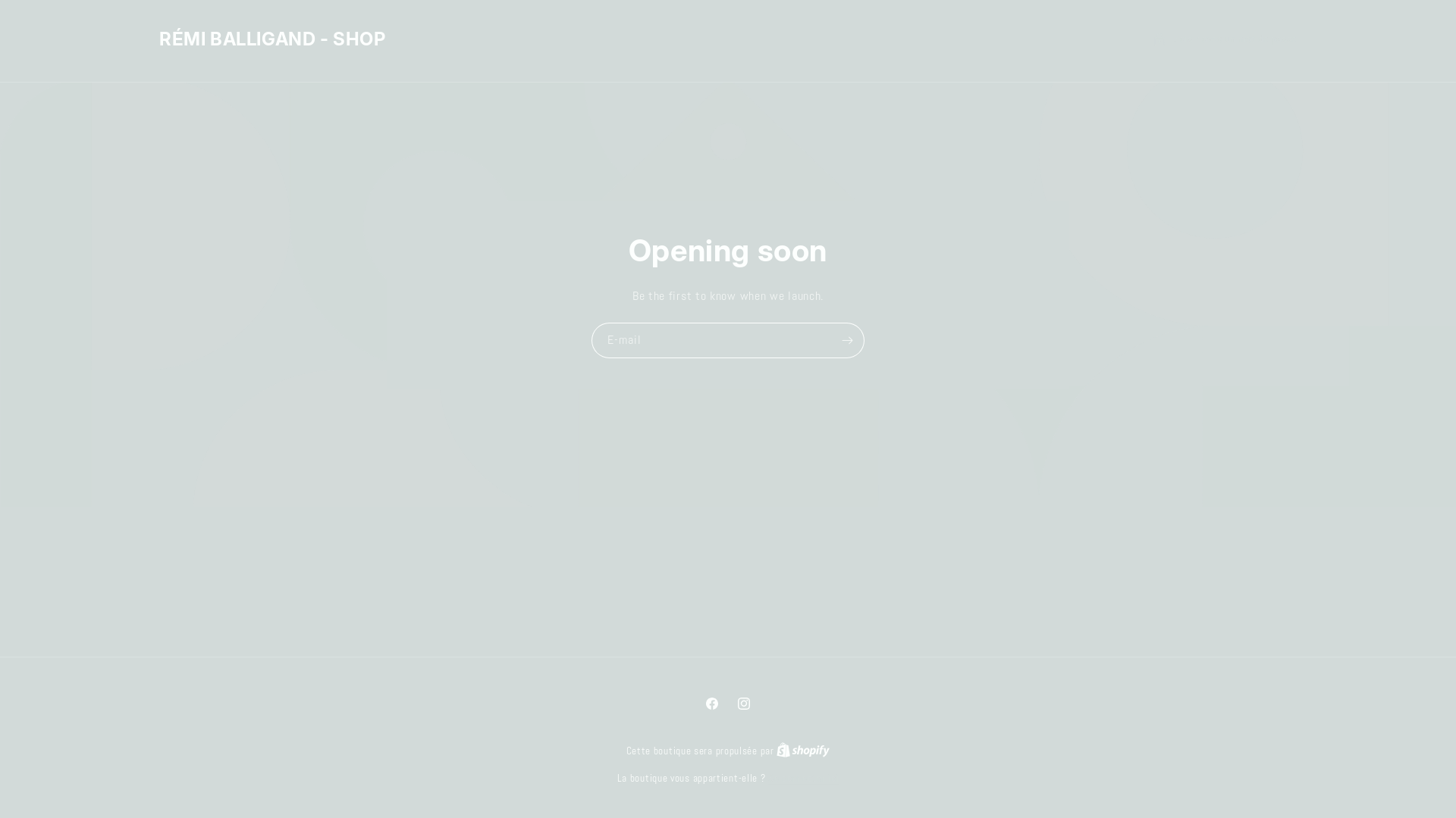 website screenshot of https://remiballigand-shop.com/