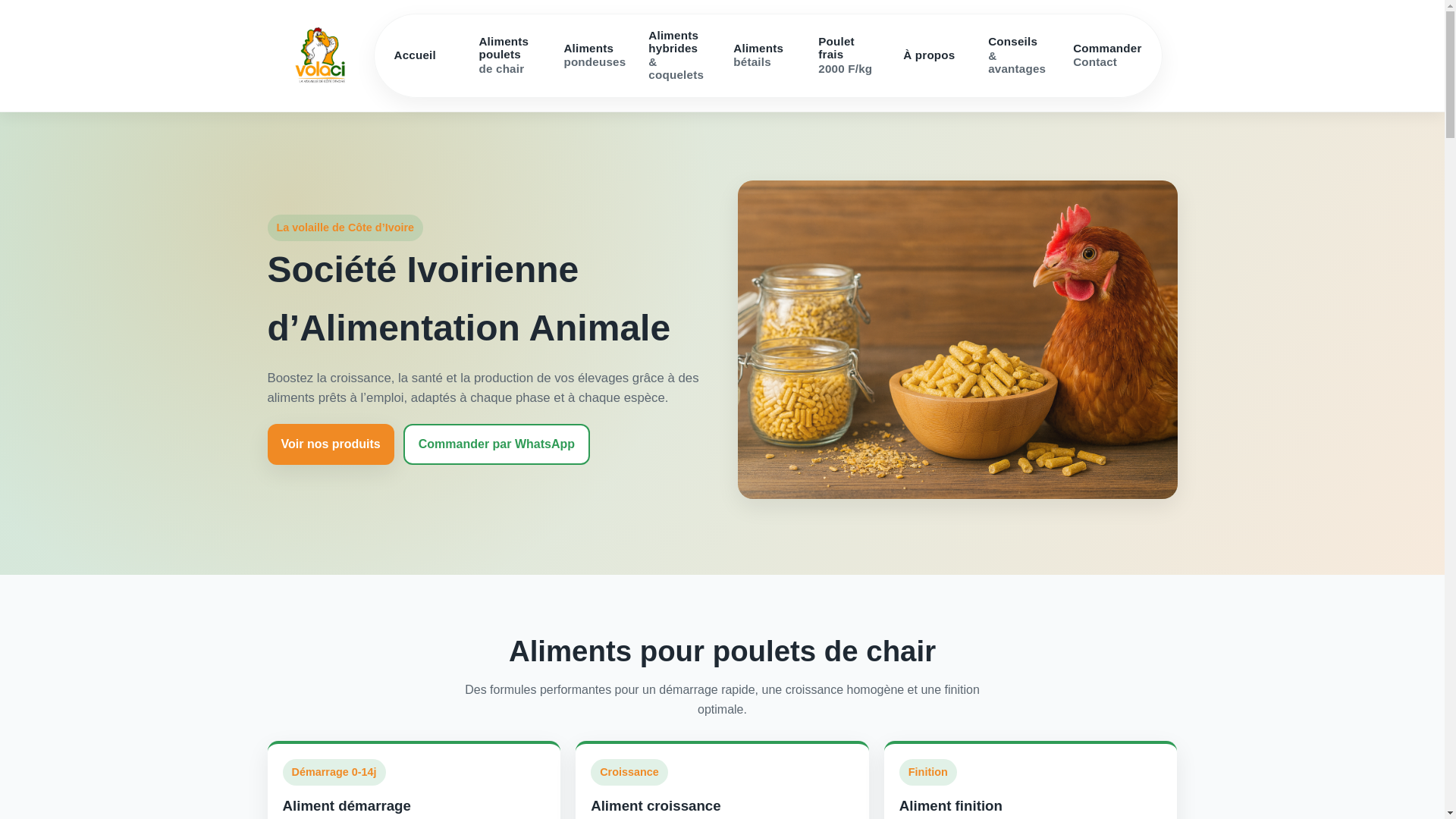website screenshot of https://volaci.org/