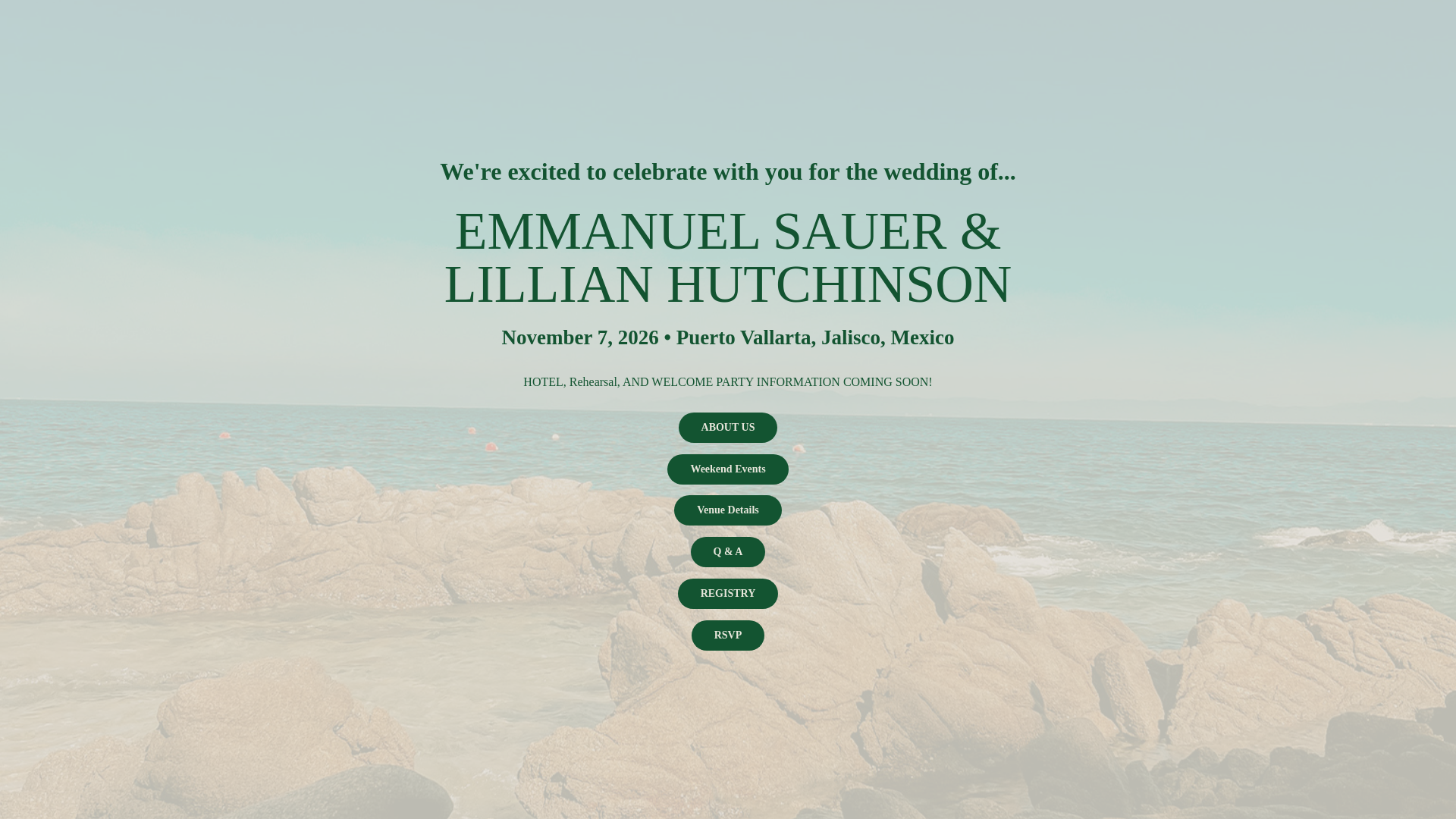 website screenshot of https://thesauerwedding.com/