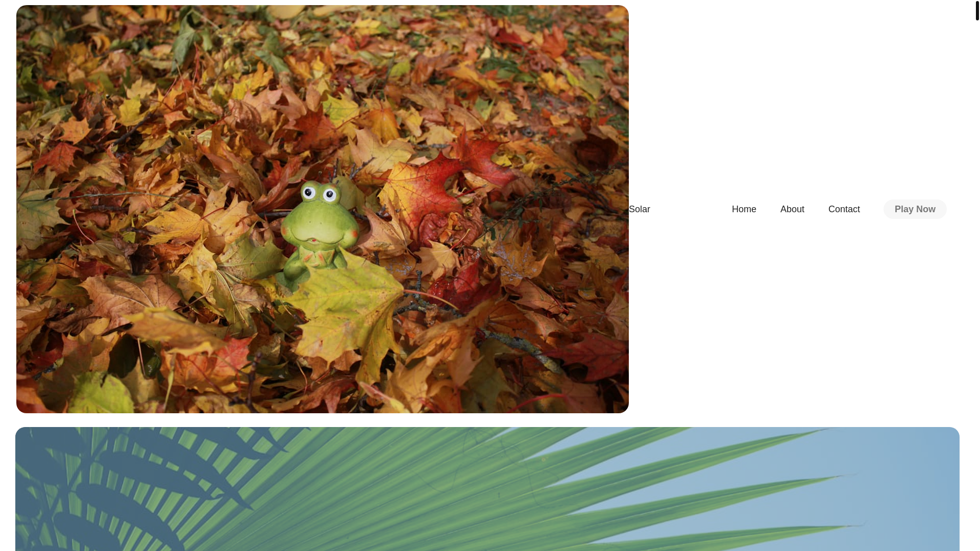 website screenshot of https://chickenroadmasr.info/