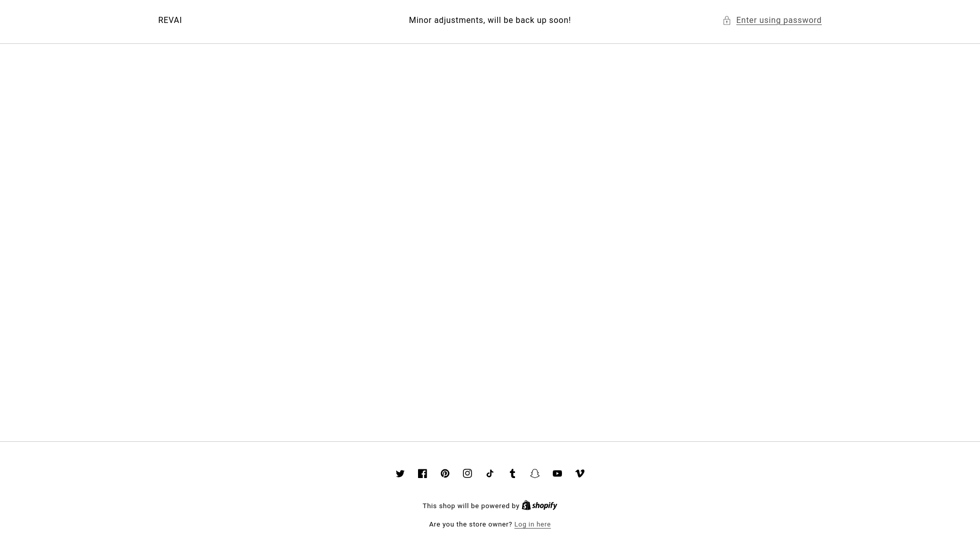 website screenshot of https://revaiofficial.com/