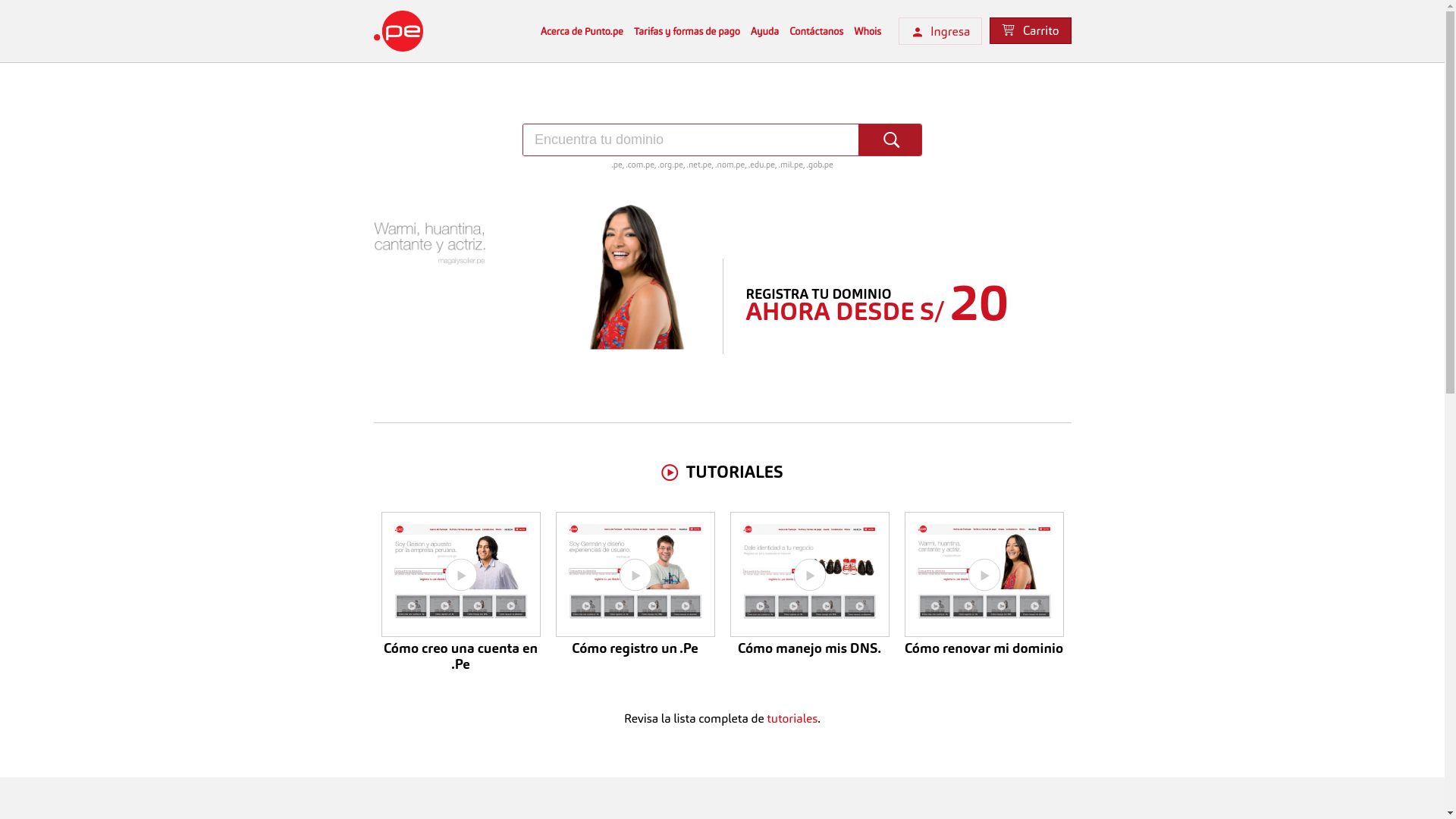 website screenshot of https://punto.pe/