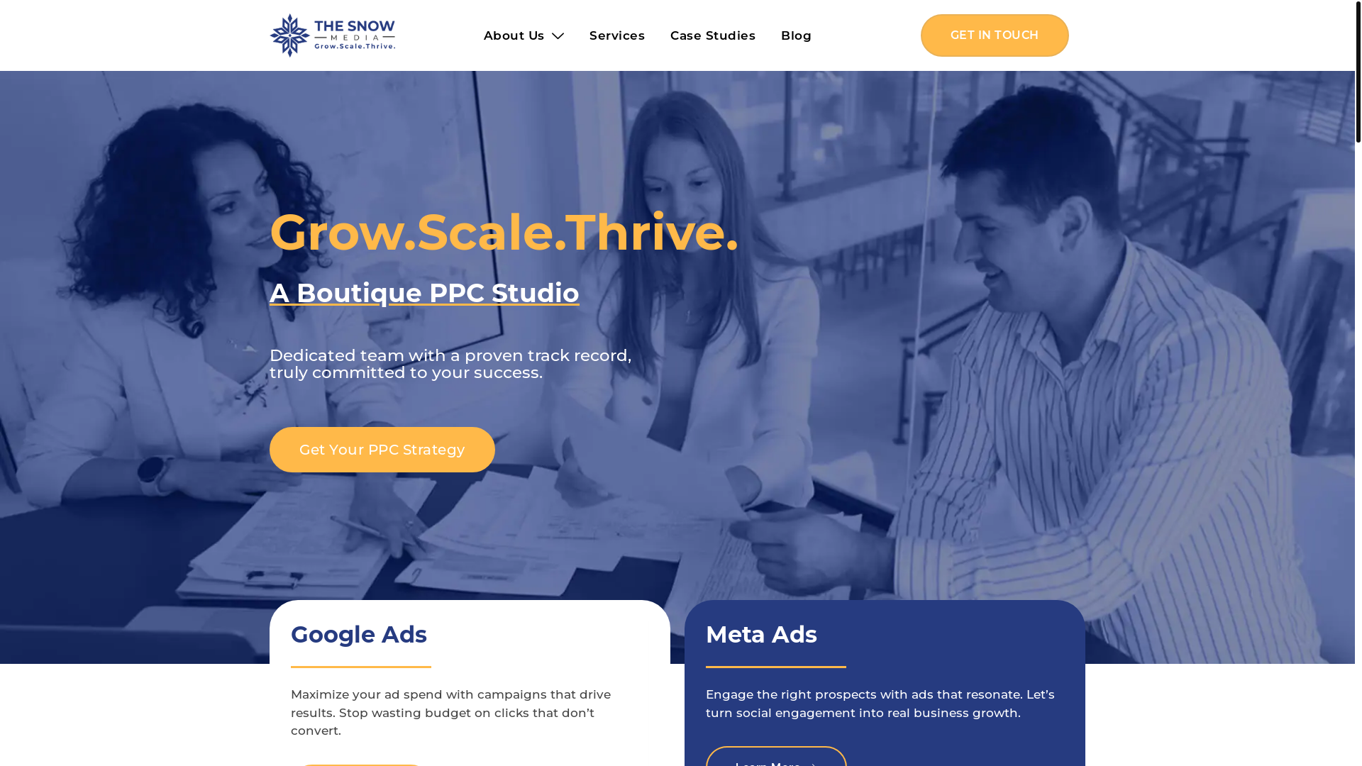 website screenshot of https://thesnowmediaonline.com/