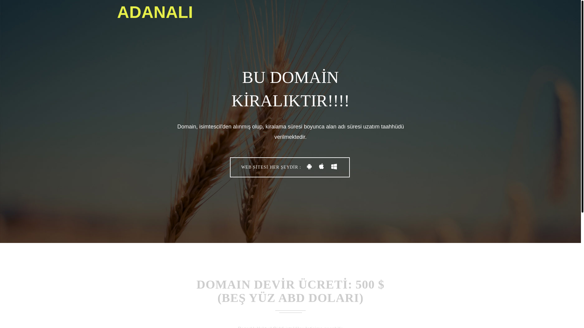 website screenshot of https://adanali.tr/