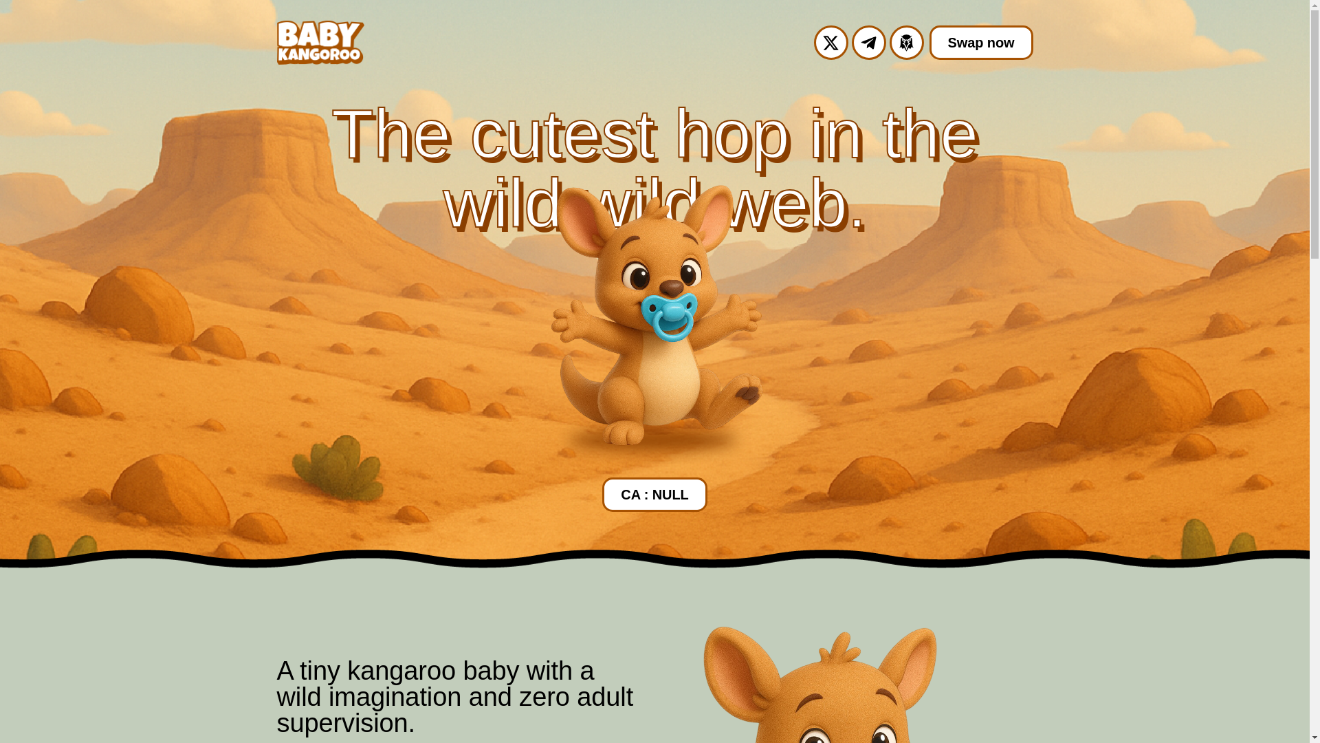 website screenshot of https://babykangoroo.xyz/