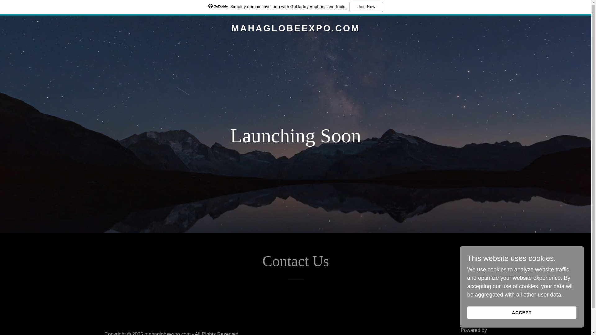 website screenshot of https://mahaglobeexpo.com/