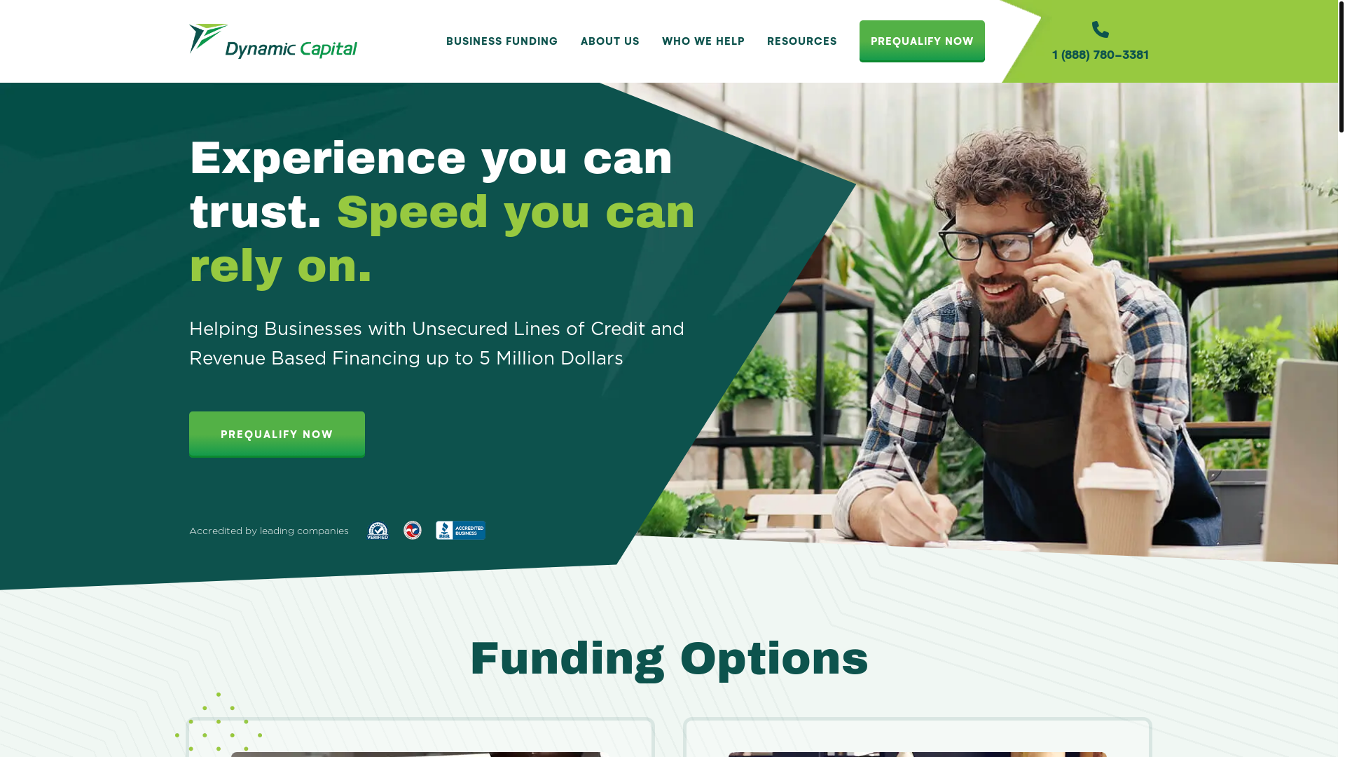 website screenshot of https://dynamiccapitalmodel.com/