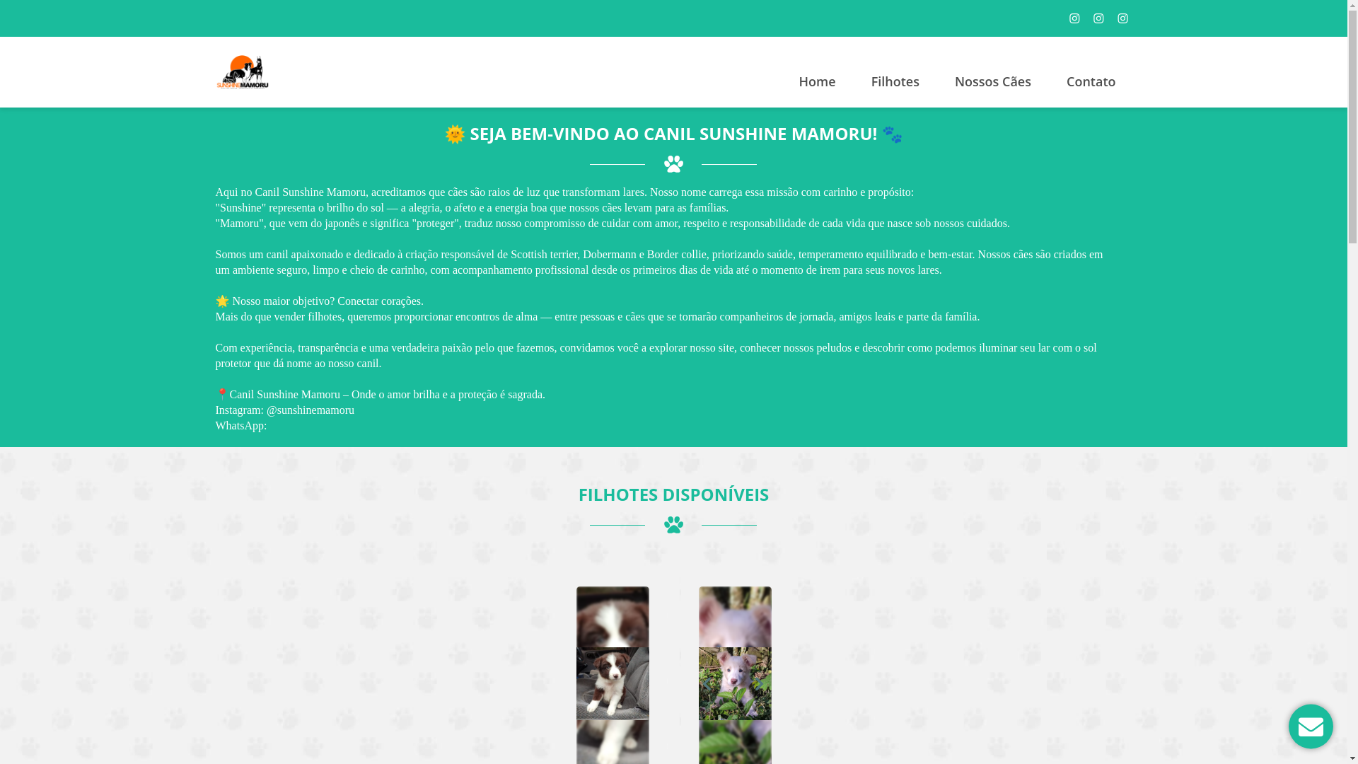 website screenshot of https://sunshinemamoru.com.br/