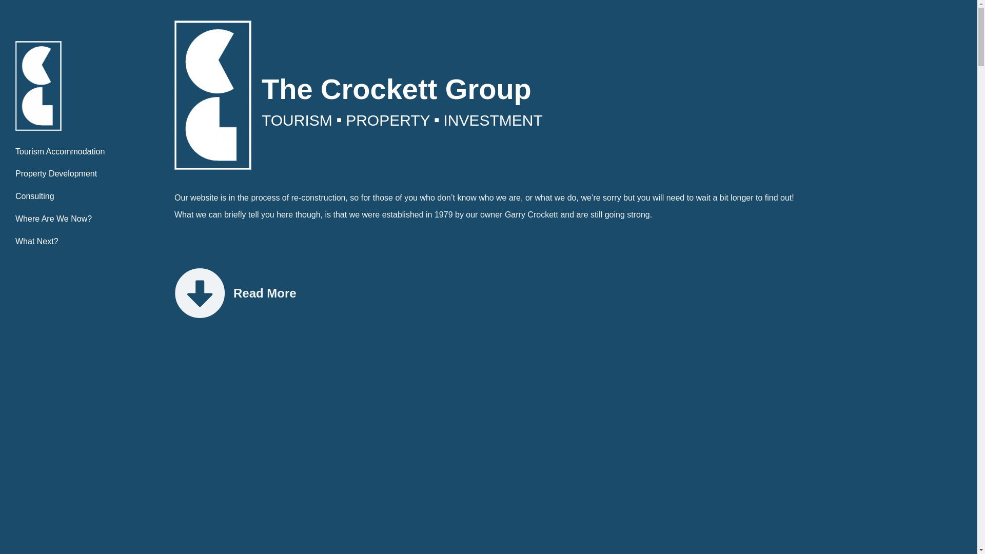website screenshot of https://thecrockettgroup.online/