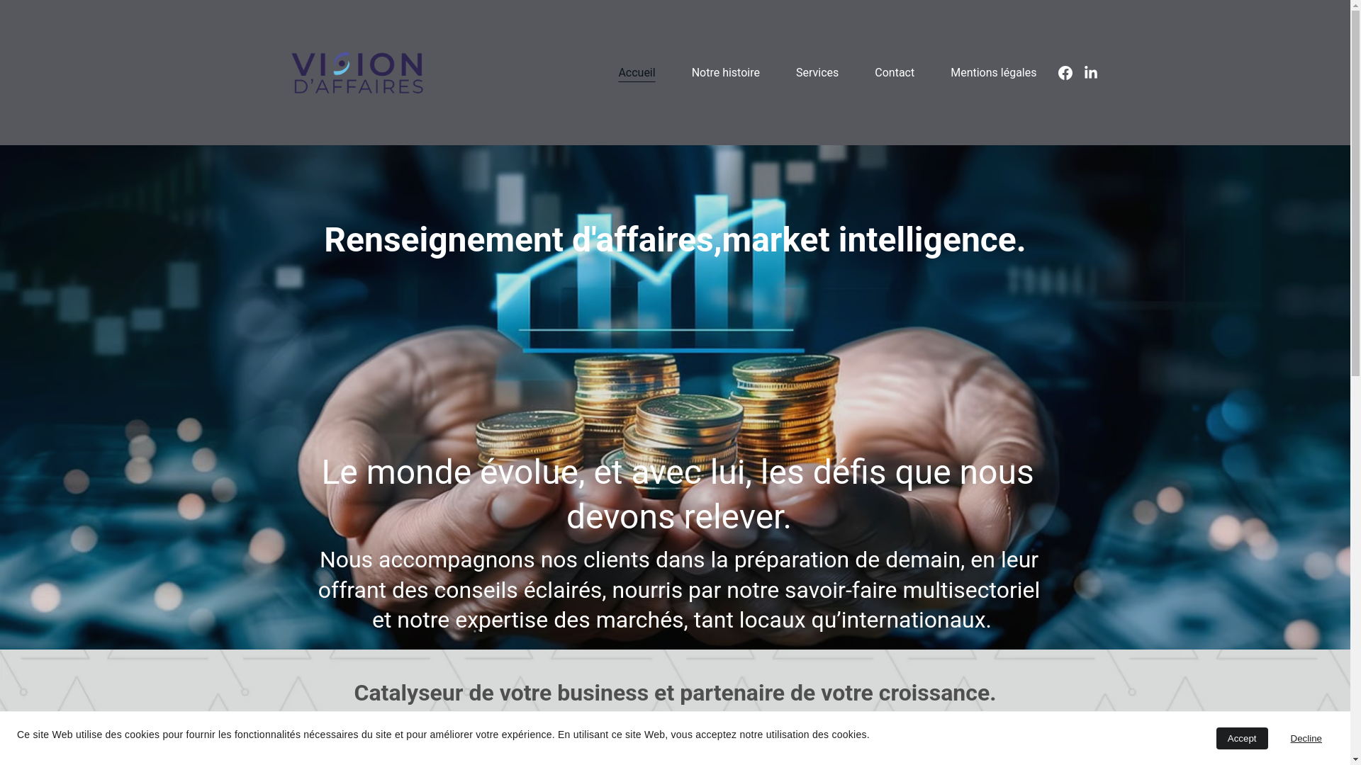 website screenshot of https://visiondaffaires.ch/