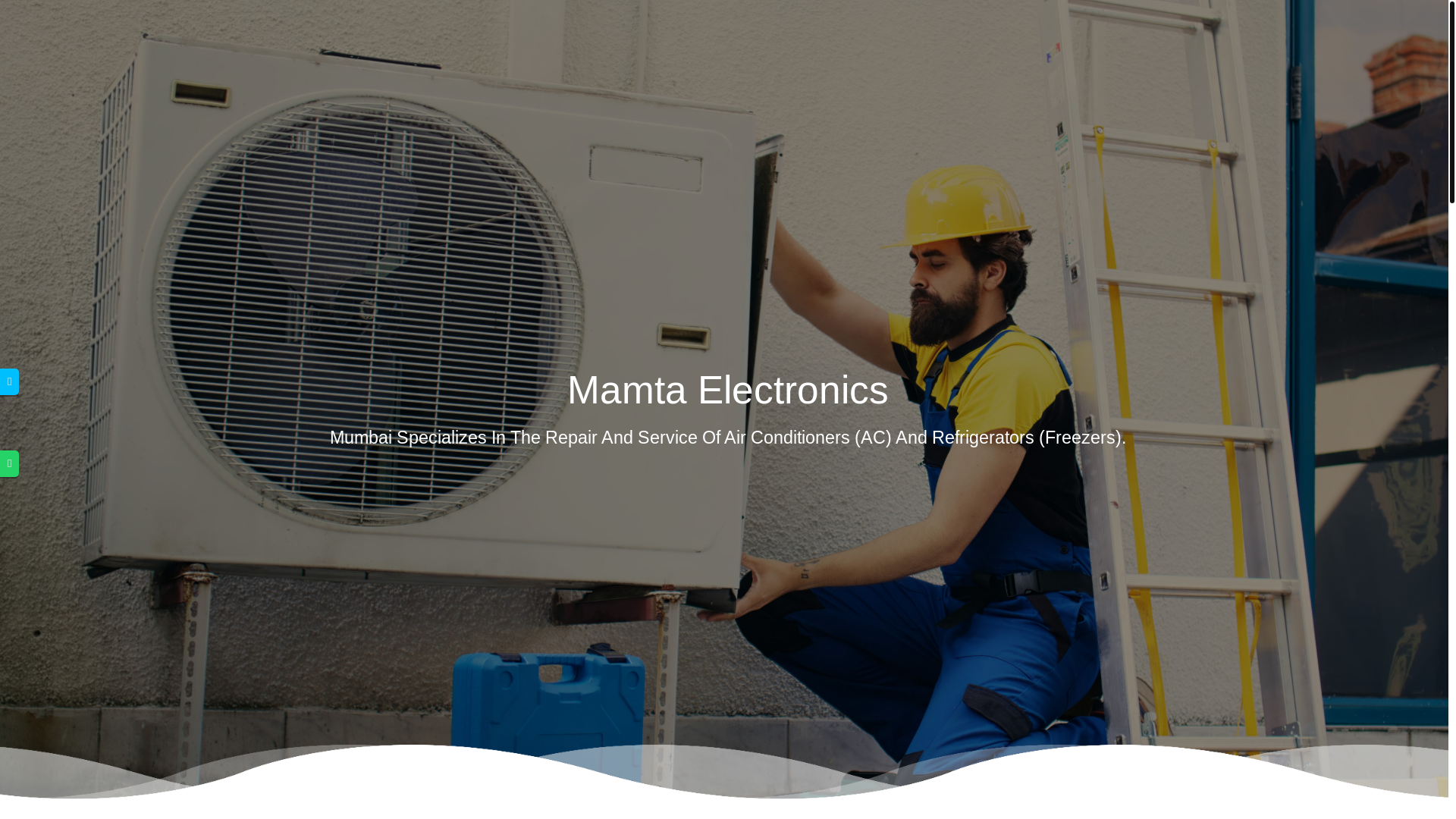 website screenshot of https://mamta-electronics.com/