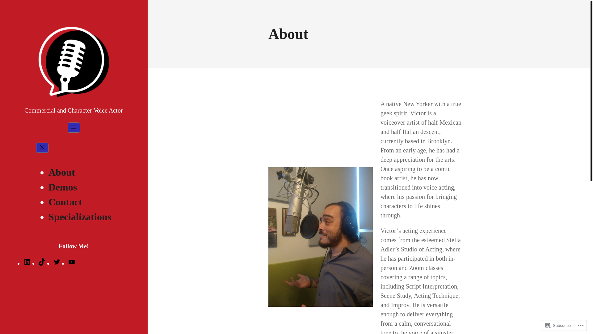 website screenshot of https://victordamianvoice.com/