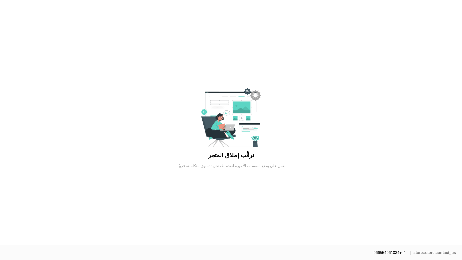 website screenshot of https://zabih-store.com/