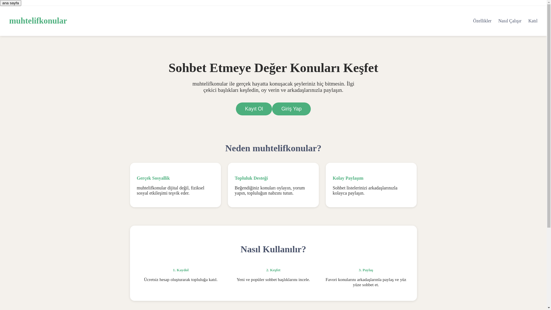 website screenshot of https://muhtelifkonular.com/