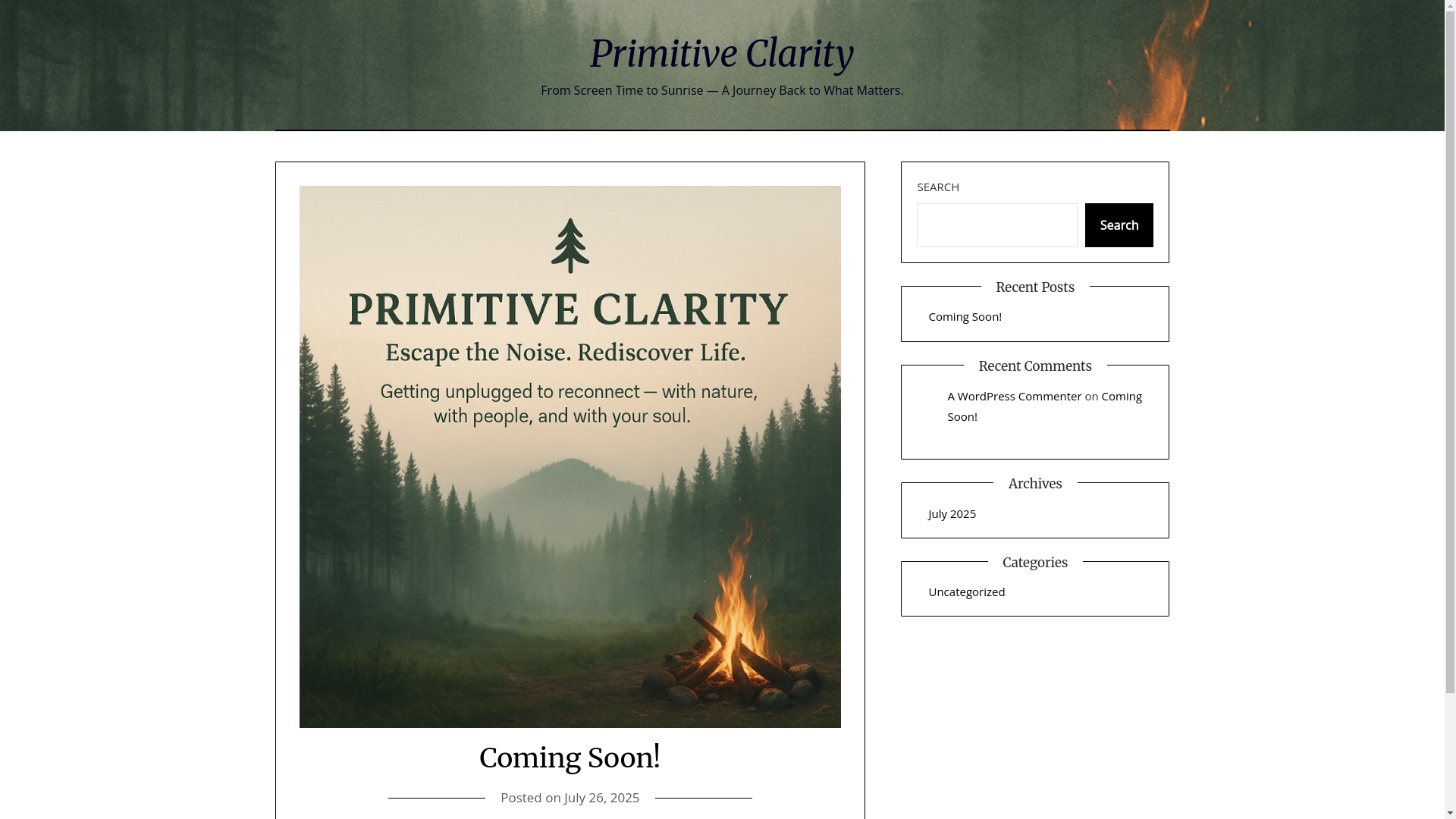 website screenshot of https://primitiveclarity.com/