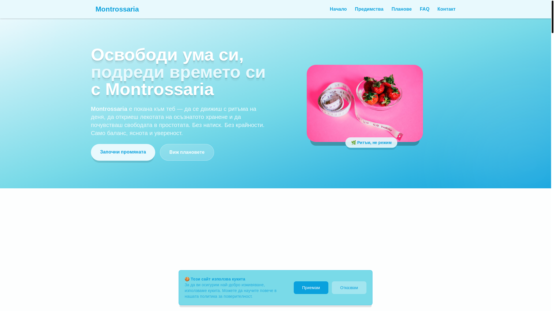 website screenshot of https://montrossaria.eu/