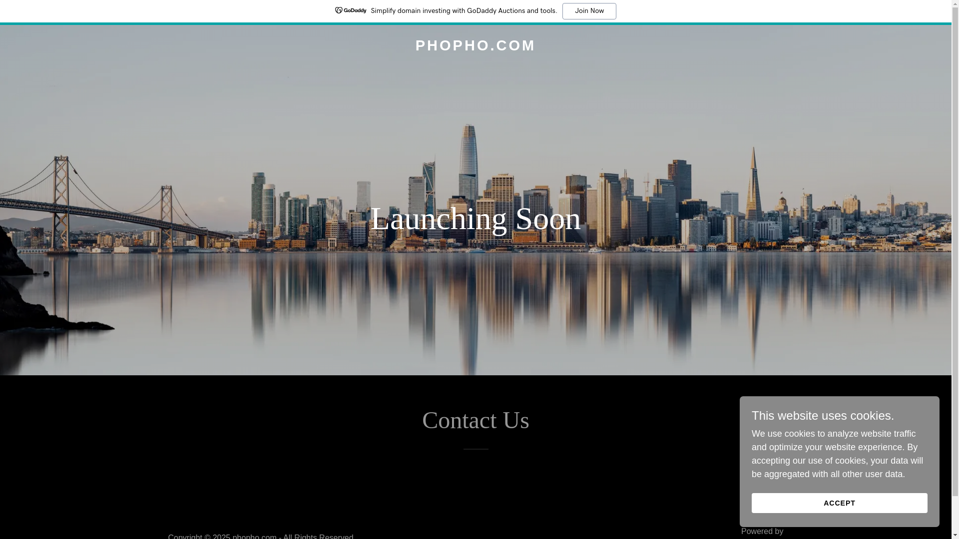 website screenshot of https://lithamkabile.com/