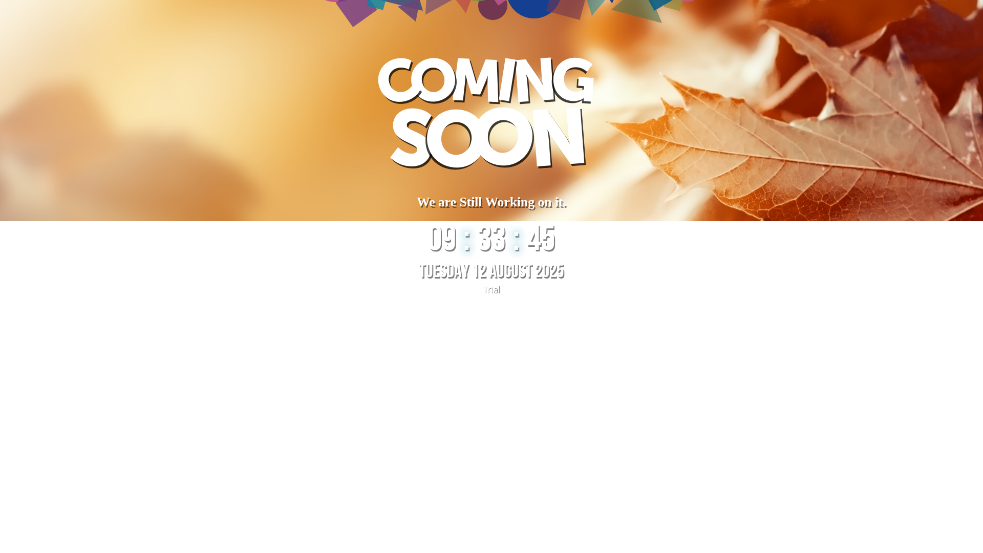 website screenshot of https://bghcons.vn/
