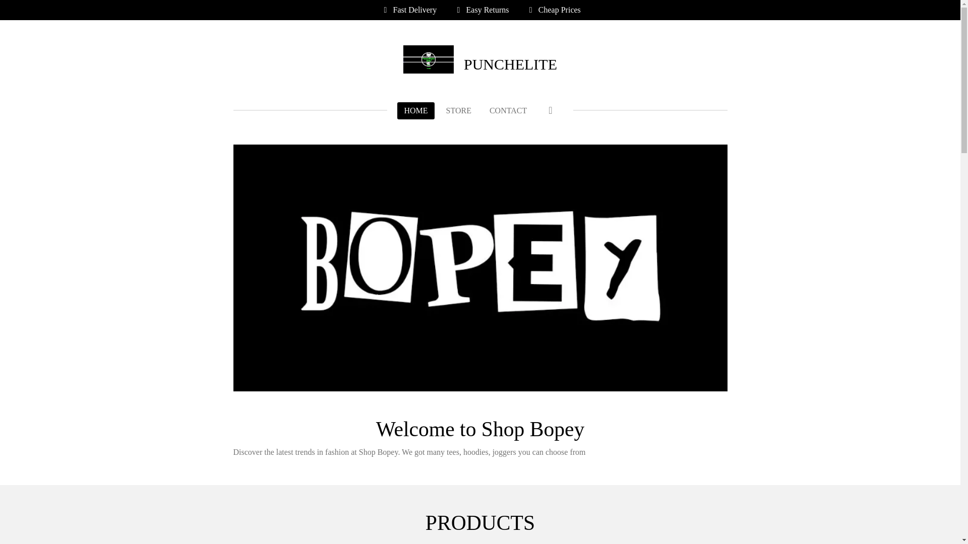 website screenshot of https://punchelite.com/