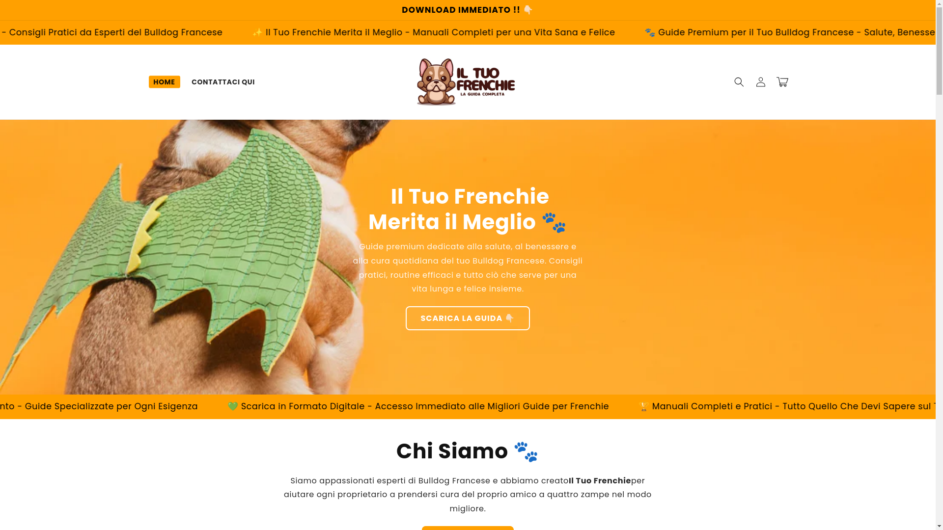 website screenshot of https://iltuofrenchie.com/