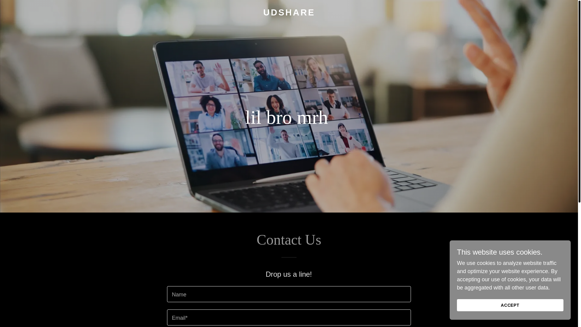 website screenshot of https://udshare.online/