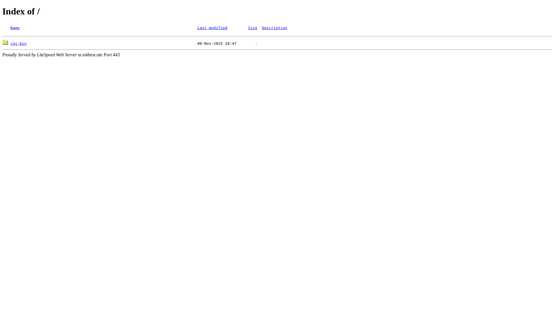 website screenshot of https://tokbest.site/