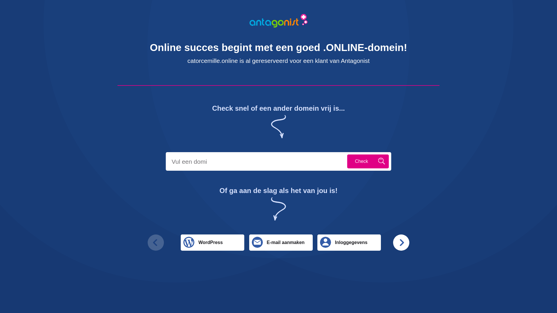 website screenshot of https://catorcemille.online/