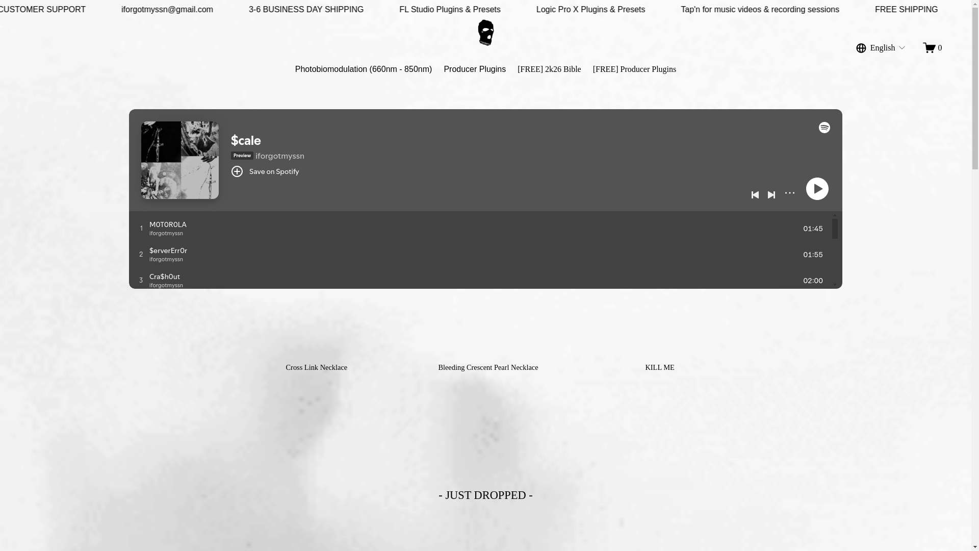 website screenshot of https://iforgotmyssn.store/