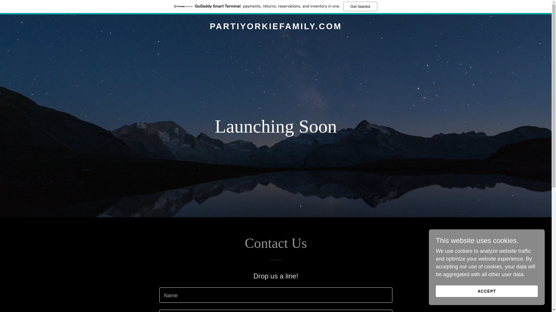 website screenshot of https://partiyorkiefamily.com/