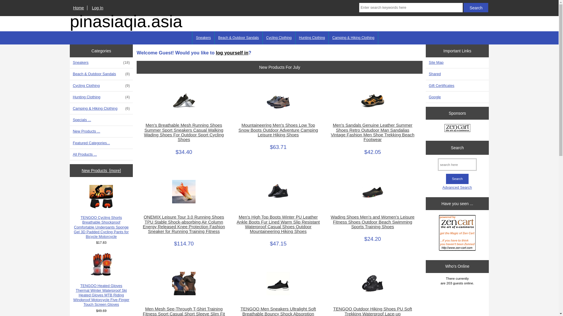 website screenshot of https://pinasiaqia.asia/