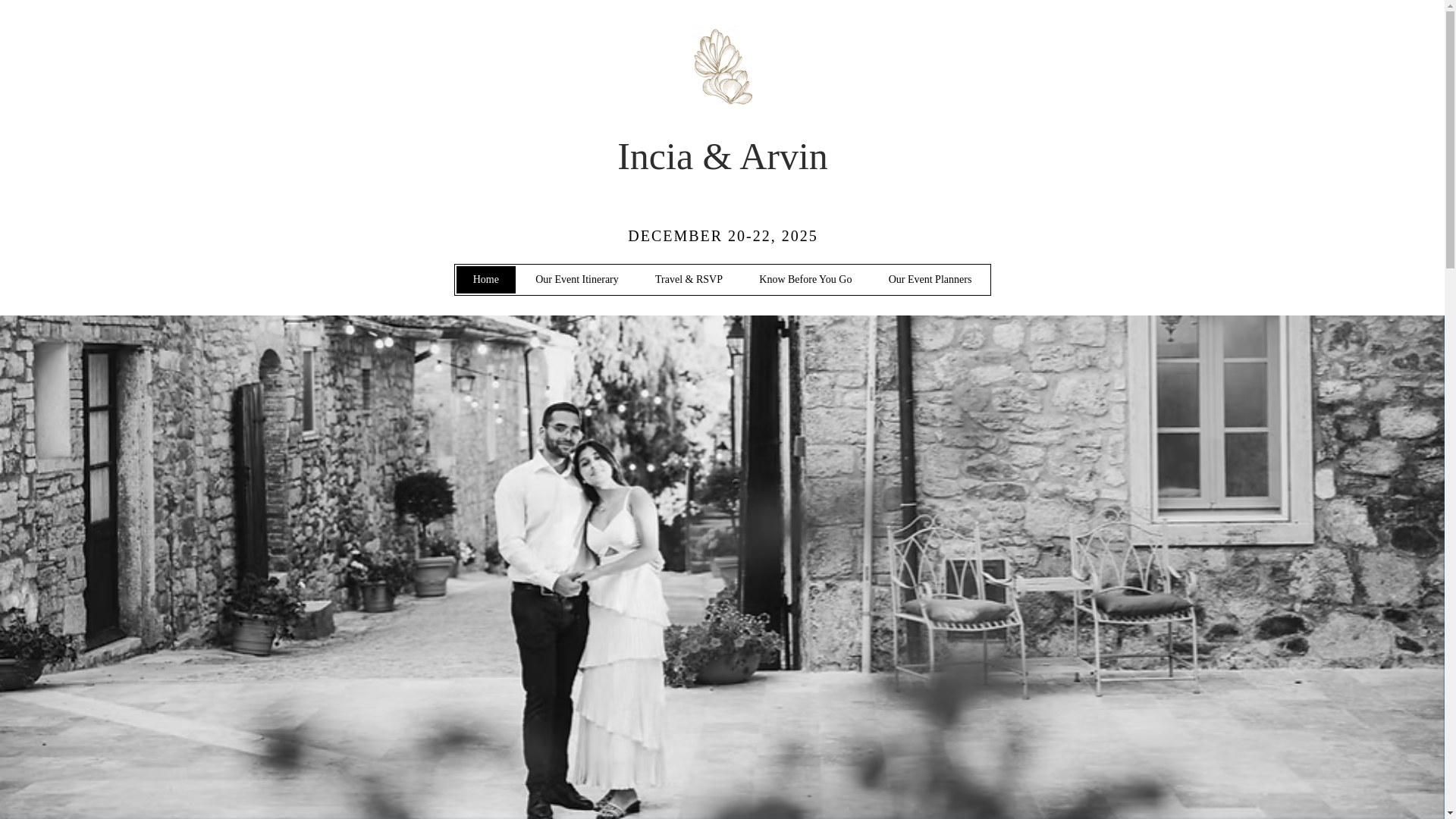 website screenshot of https://arvincia.info/