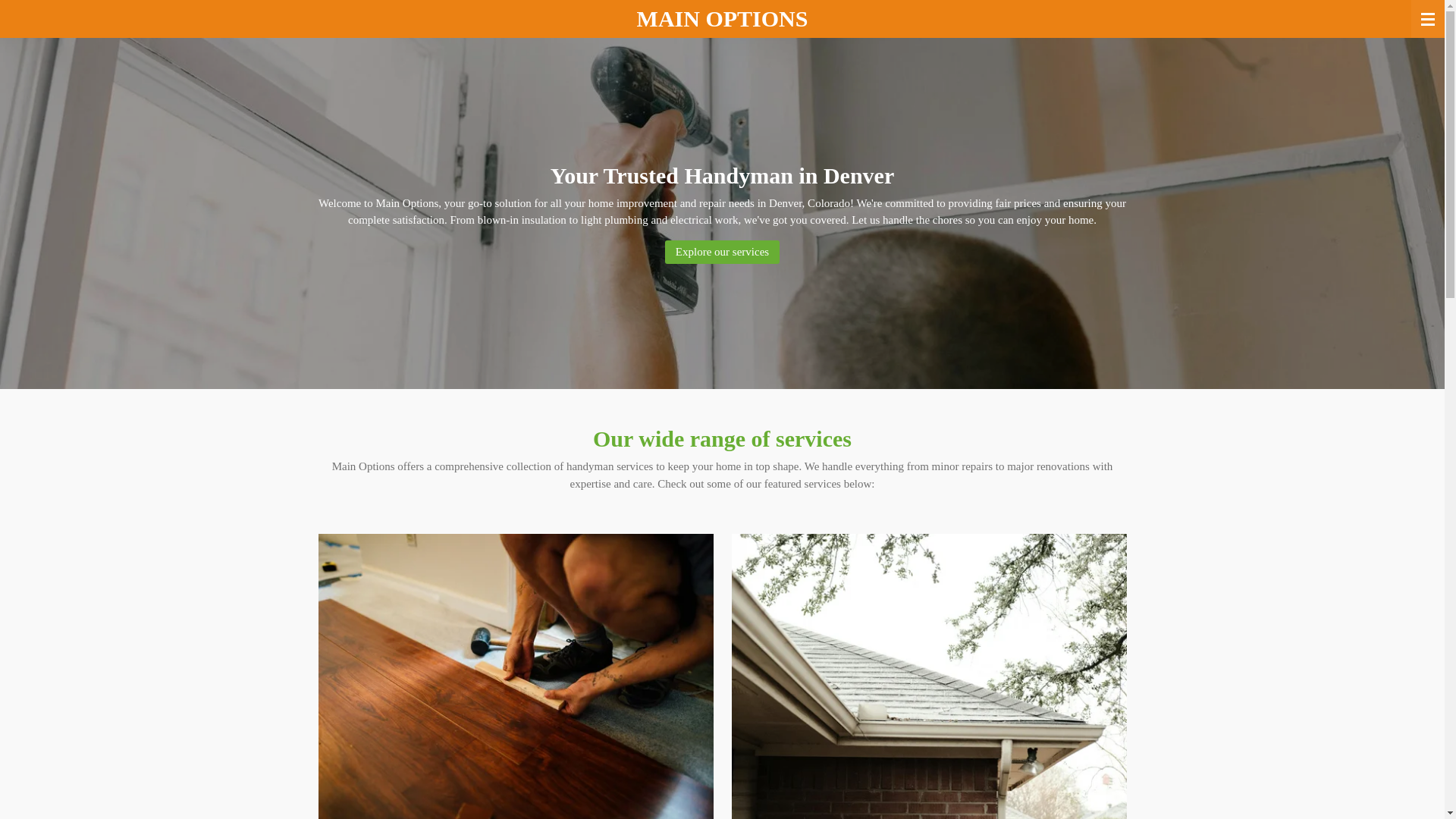 website screenshot of https://yourmainoption.com/