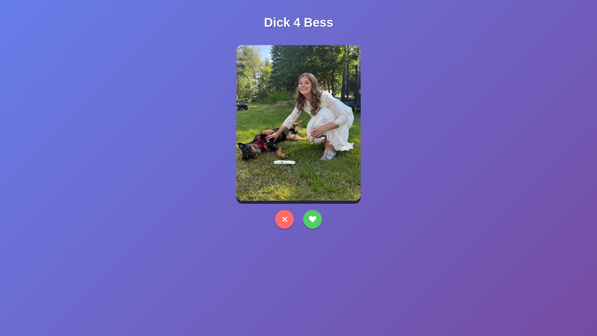 website screenshot of https://dick4bess.org/