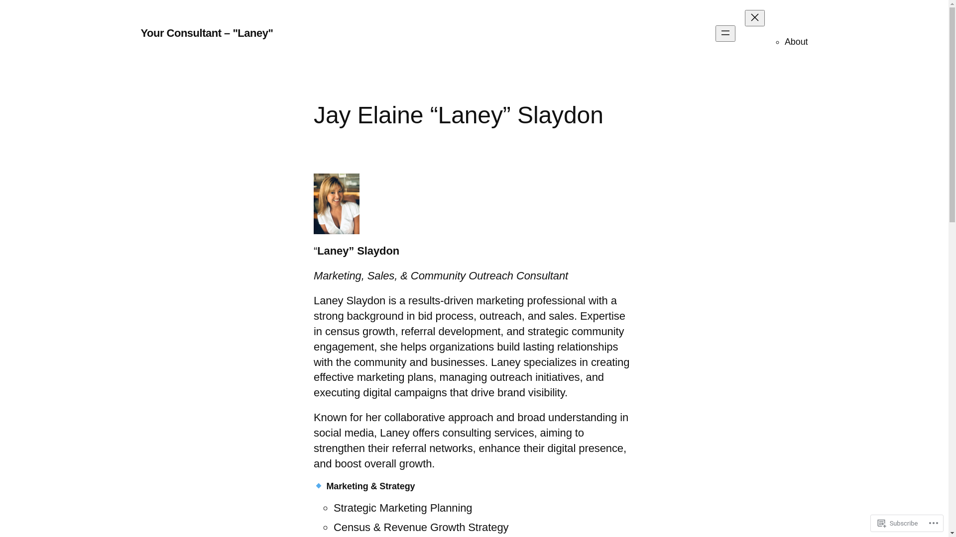 website screenshot of https://laneyinnc.com/